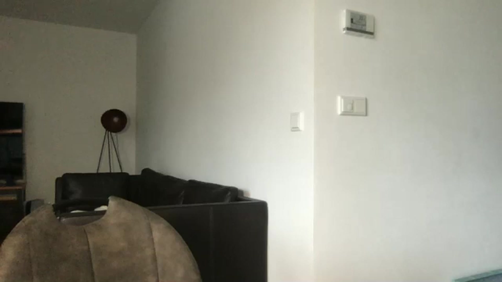 Gallery image thumbnail from neverinmylife's myfreecams stream on, 12/08/2025, 12:27 image 3 of 20