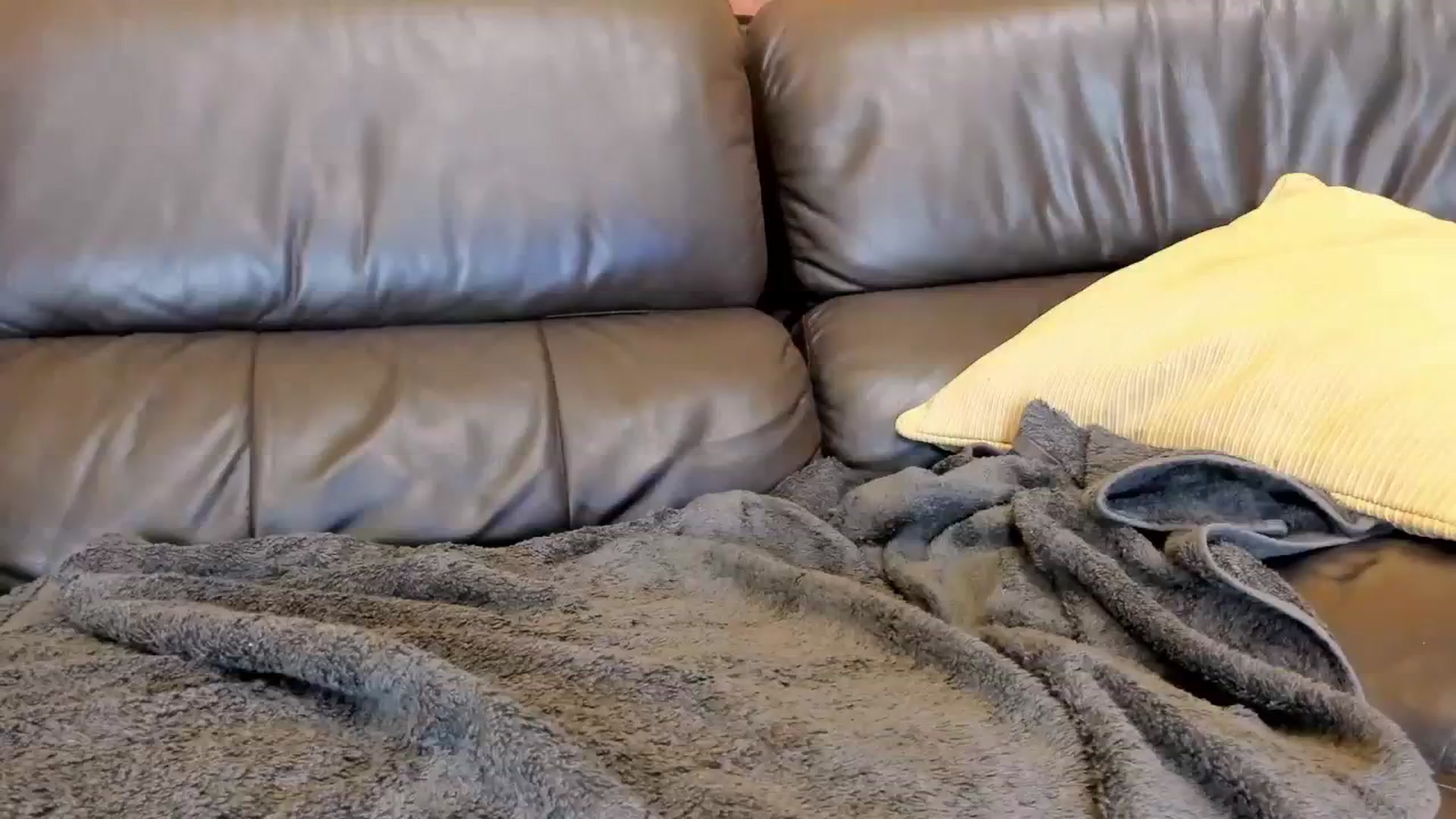 Gallery image thumbnail from new_matilda's myfreecams stream on, 06/24/2024, 11:09 image 13 of 20