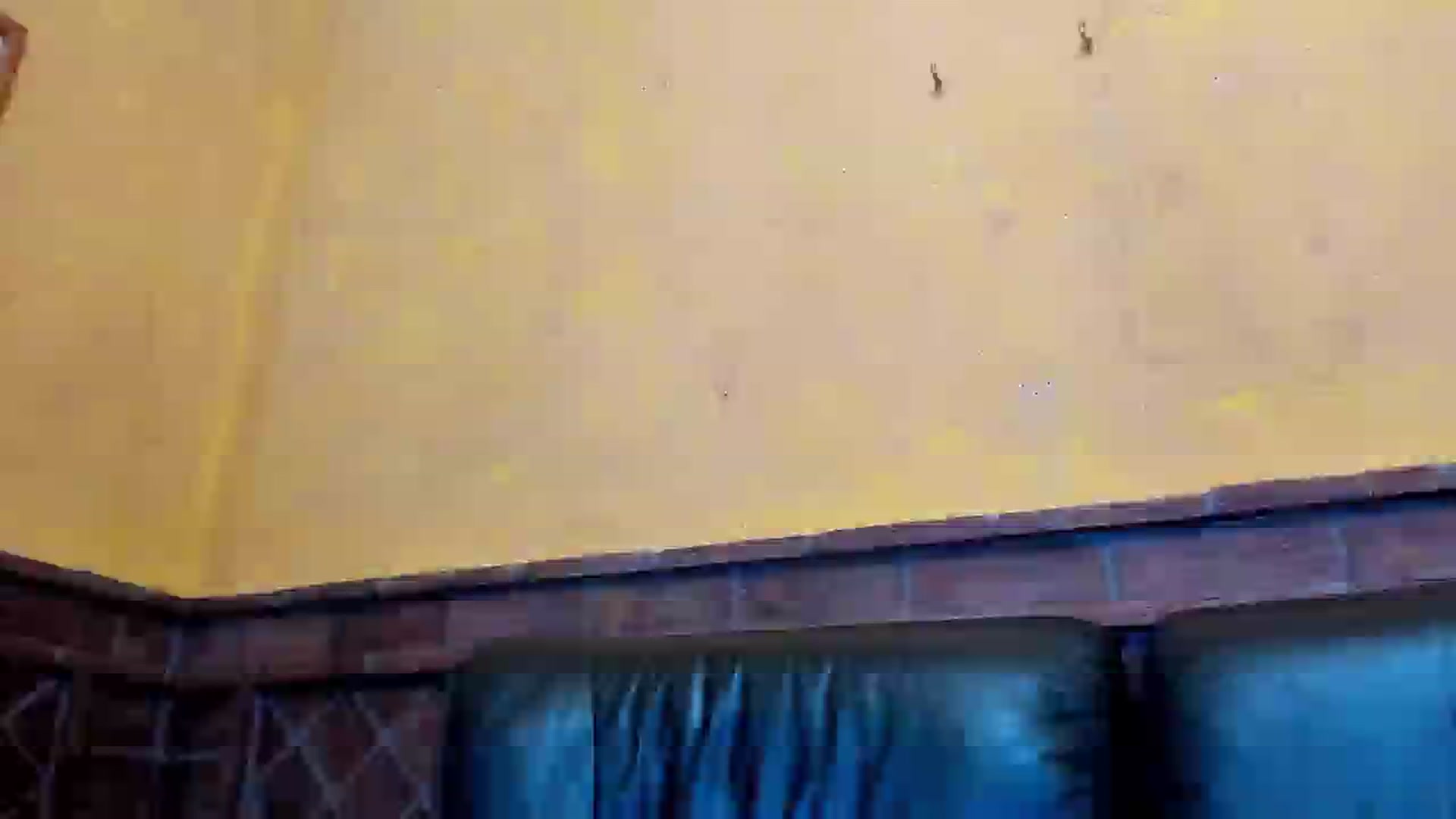 Gallery image thumbnail from new_matilda's myfreecams stream on, 07/03/2024, 12:12 image 20 of 20