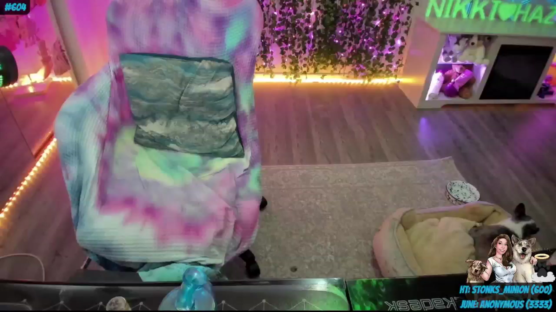 Gallery image thumbnail from nikki_haze's myfreecams stream on, 06/16/2024, 13:20 image 11 of 20