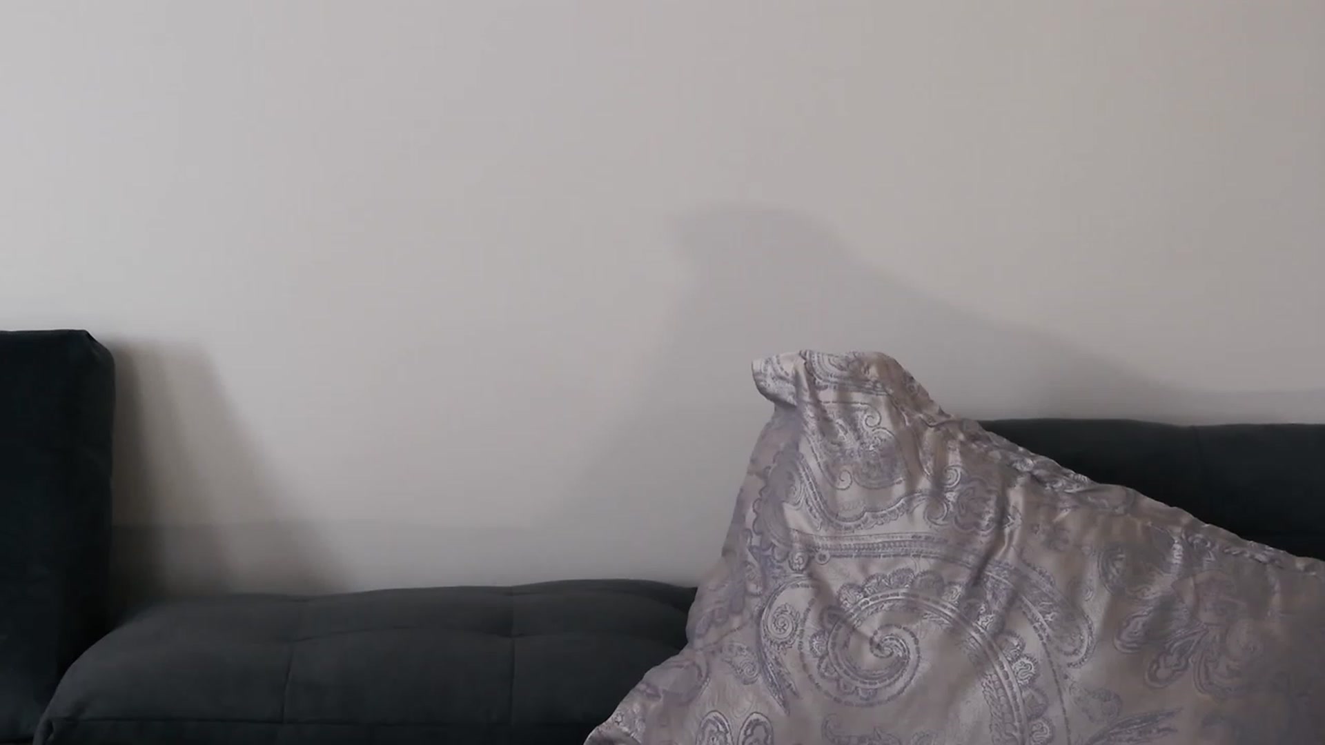 Gallery image thumbnail from o_o1t2's myfreecams stream on, 04/28/2023, 18:01 image 1 of 20