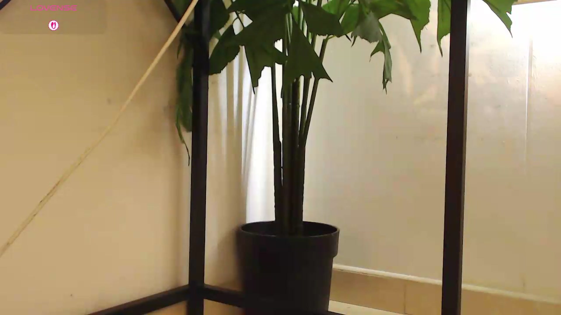 Gallery image thumbnail from office_secret's myfreecams stream on, 06/25/2026, 19:40 image 8 of 20