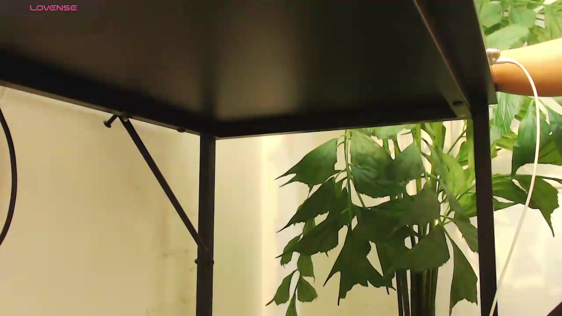 Gallery image thumbnail from office_secret's myfreecams stream on, 08/06/2026, 20:08 image 10 of 20