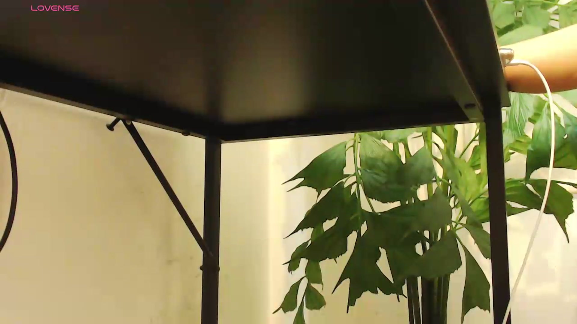 Gallery image thumbnail from office_secret's myfreecams stream on, 08/06/2026, 20:08 image 18 of 20