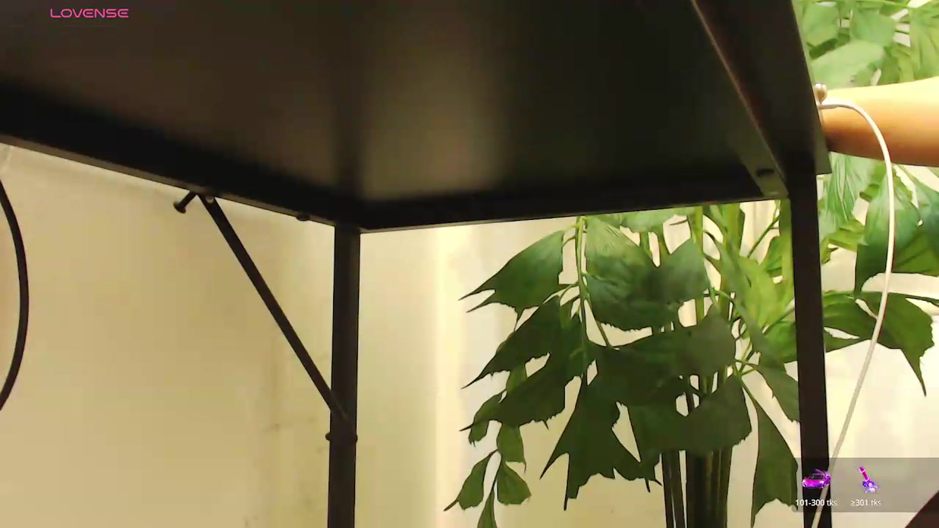Gallery image thumbnail from office_secret's myfreecams stream on, 08/06/2026, 20:08 image 2 of 20