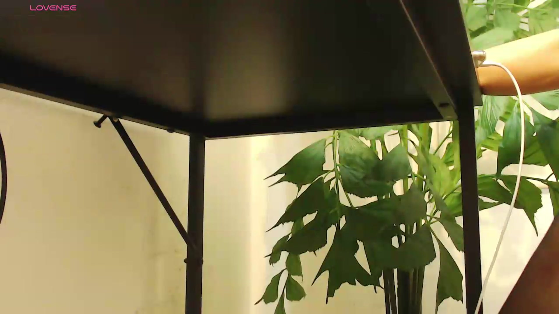 Gallery image thumbnail from office_secret's myfreecams stream on, 08/06/2026, 20:08 image 19 of 20