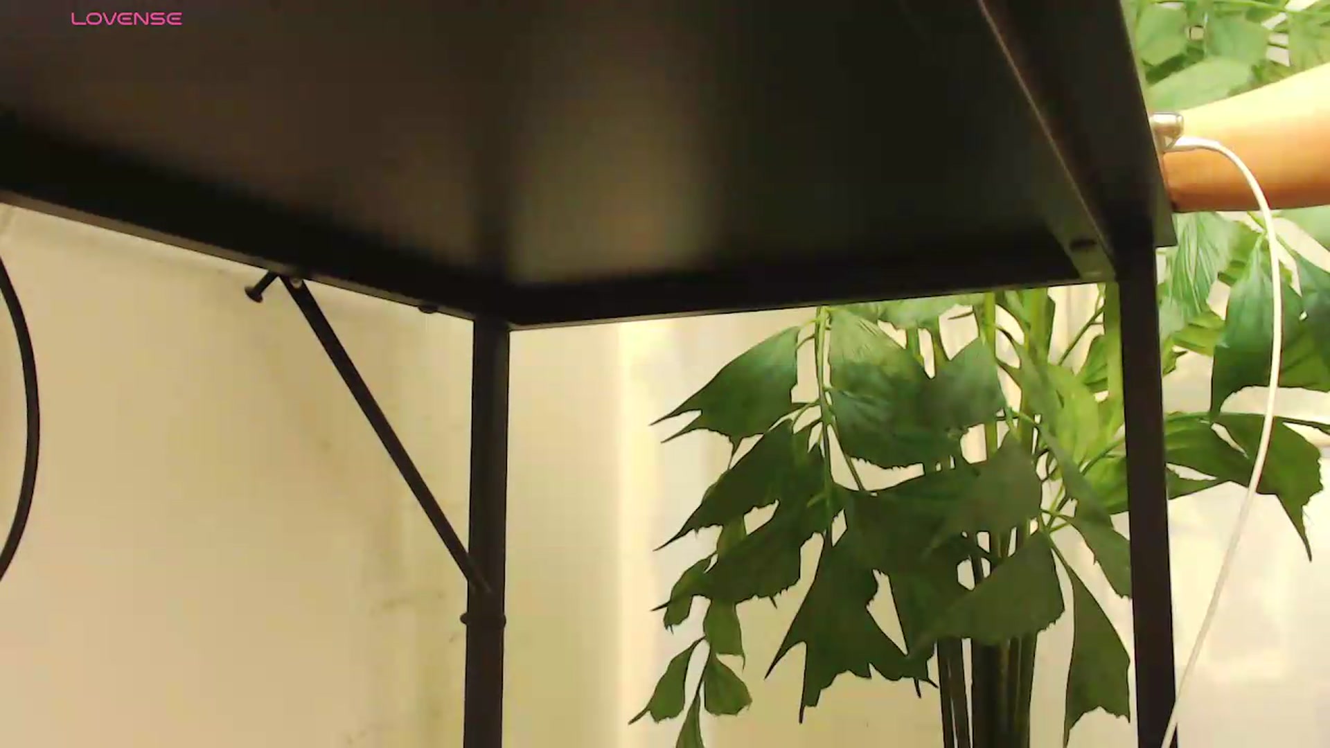 Gallery image thumbnail from office_secret's myfreecams stream on, 08/06/2026, 20:08 image 14 of 20