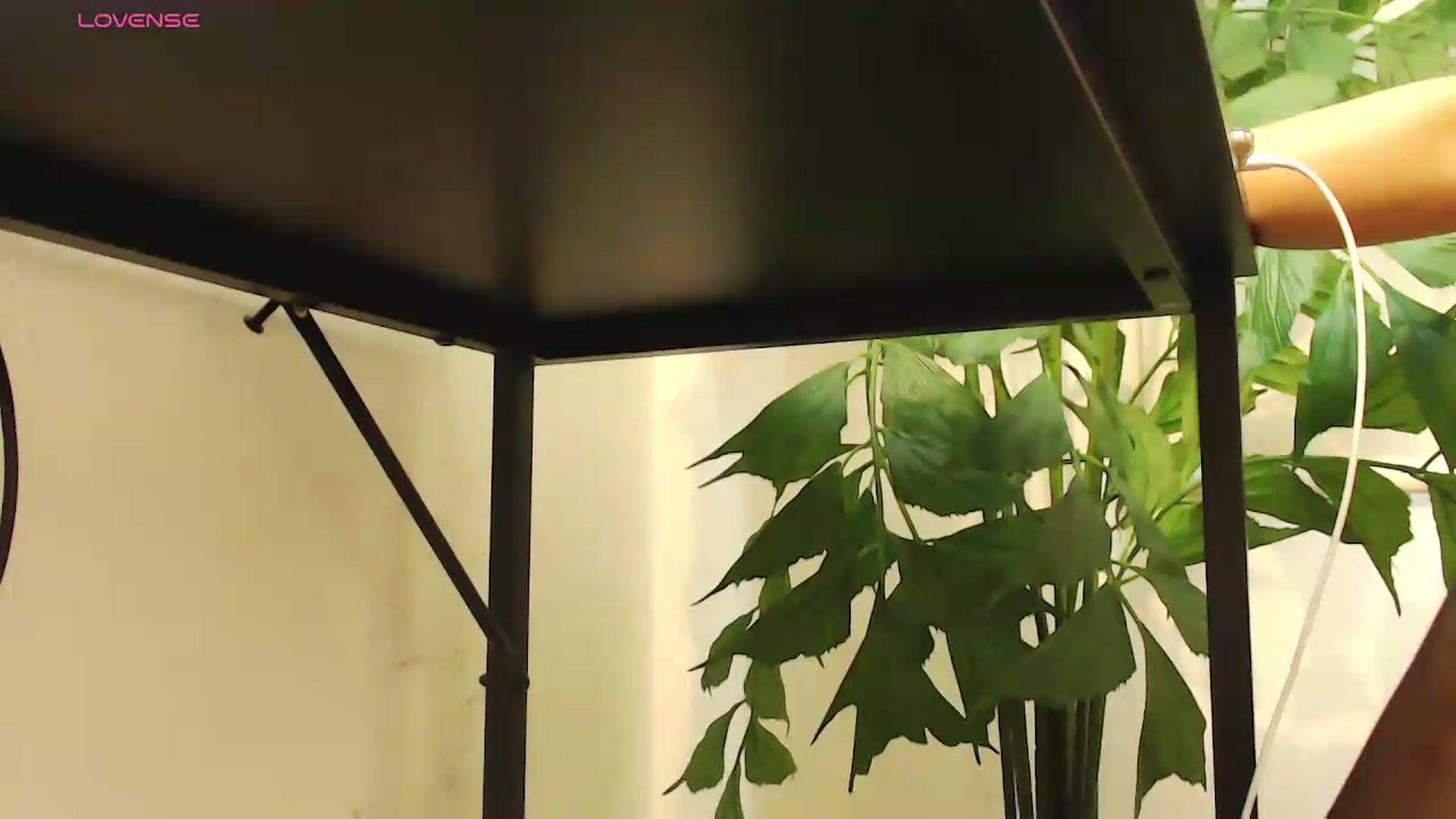 Gallery image thumbnail from office_secret's myfreecams stream on, 08/06/2026, 20:08 image 20 of 20