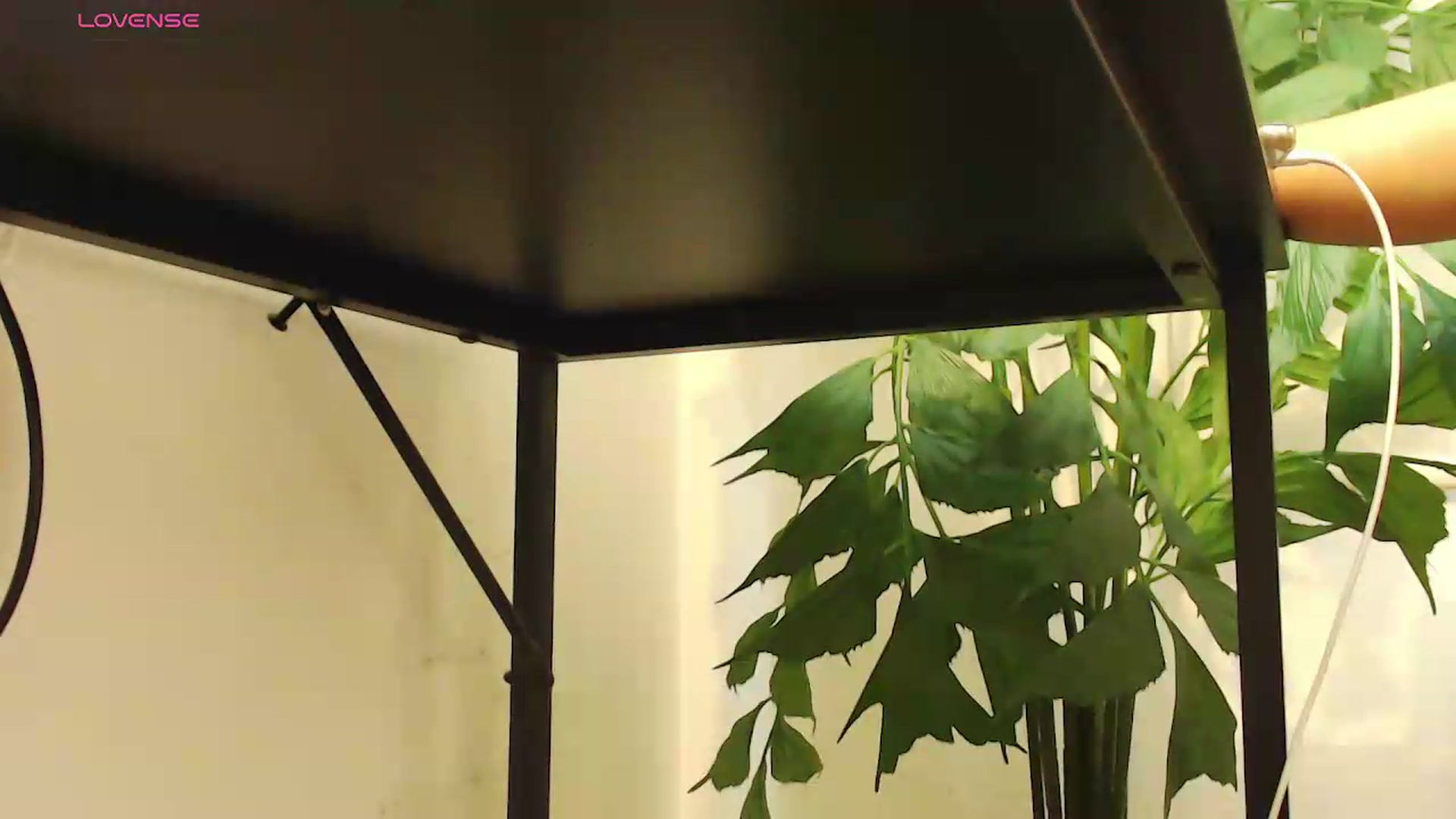 Gallery image thumbnail from office_secret's myfreecams stream on, 08/06/2026, 20:08 image 16 of 20