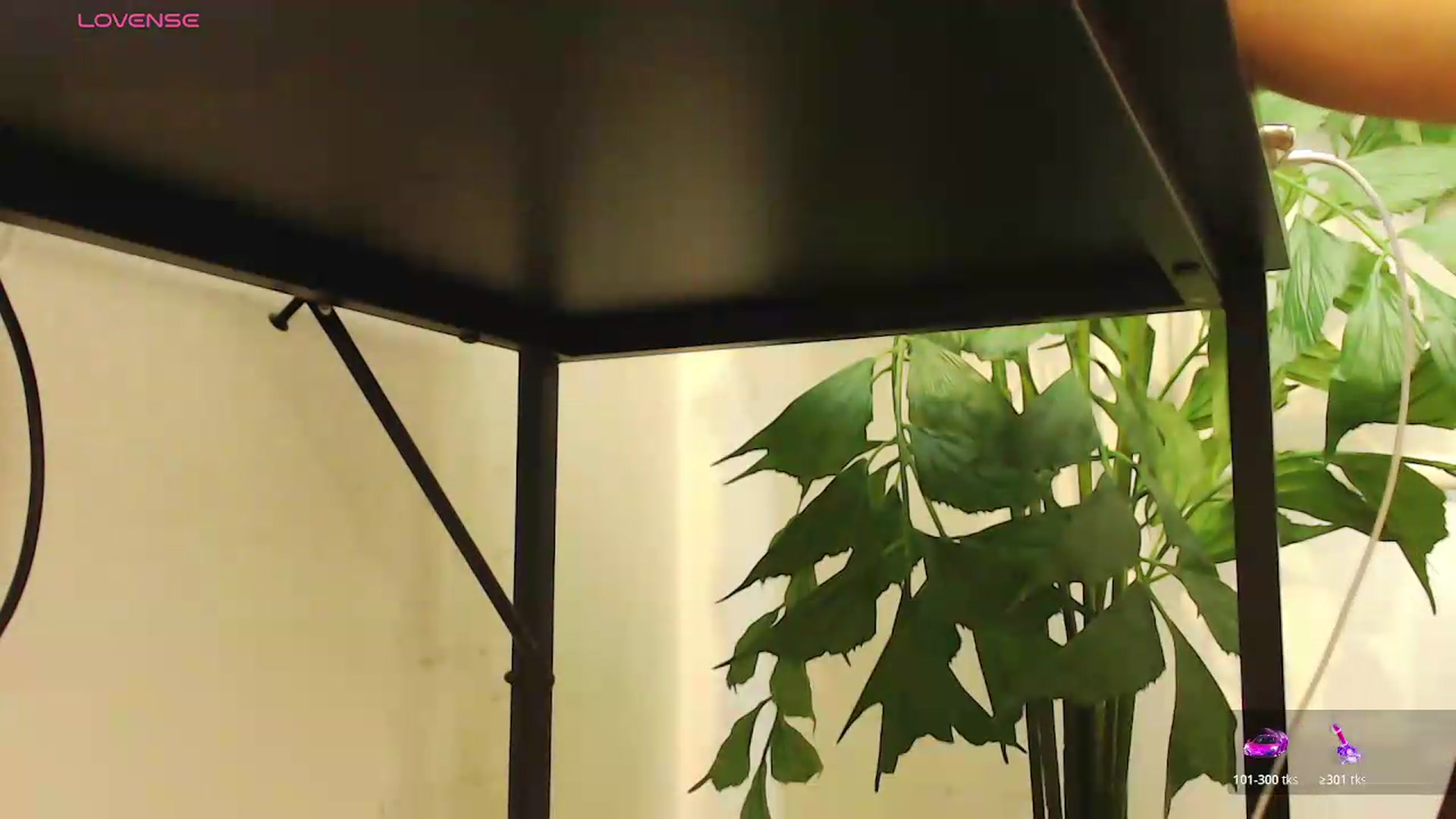 Gallery image thumbnail from office_secret's myfreecams stream on, 08/06/2026, 20:08 image 13 of 20