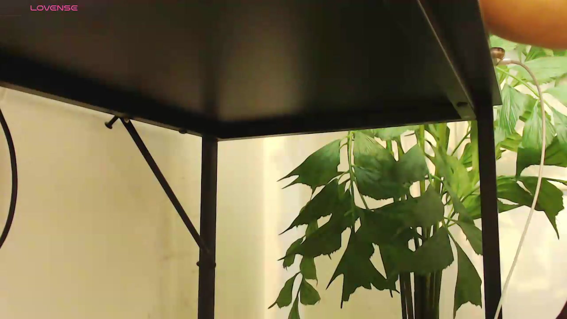 Gallery image thumbnail from office_secret's myfreecams stream on, 08/06/2026, 20:08 image 15 of 20