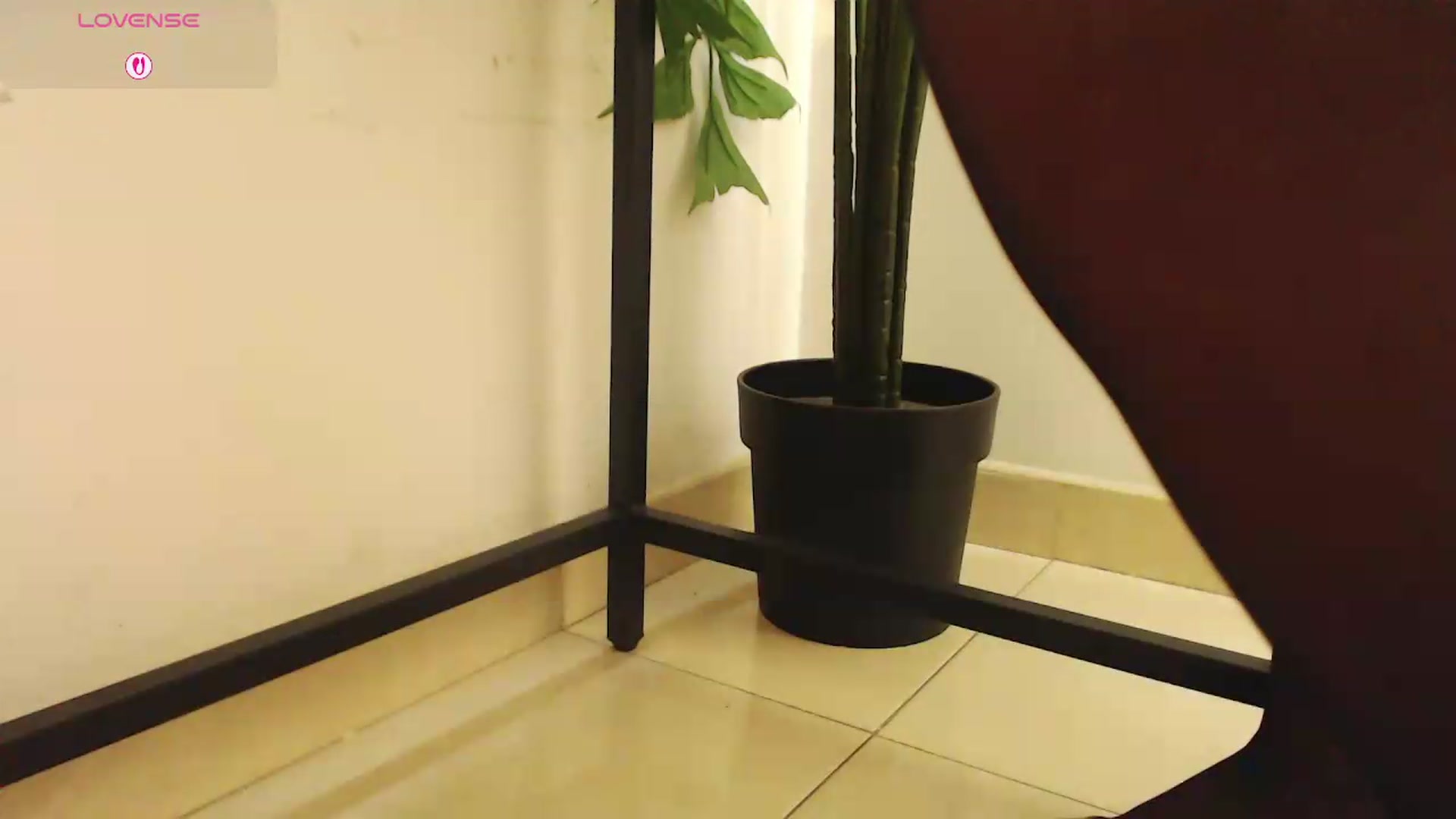 Gallery image thumbnail from office_secret's myfreecams stream on, 08/10/2026, 18:32 image 14 of 20