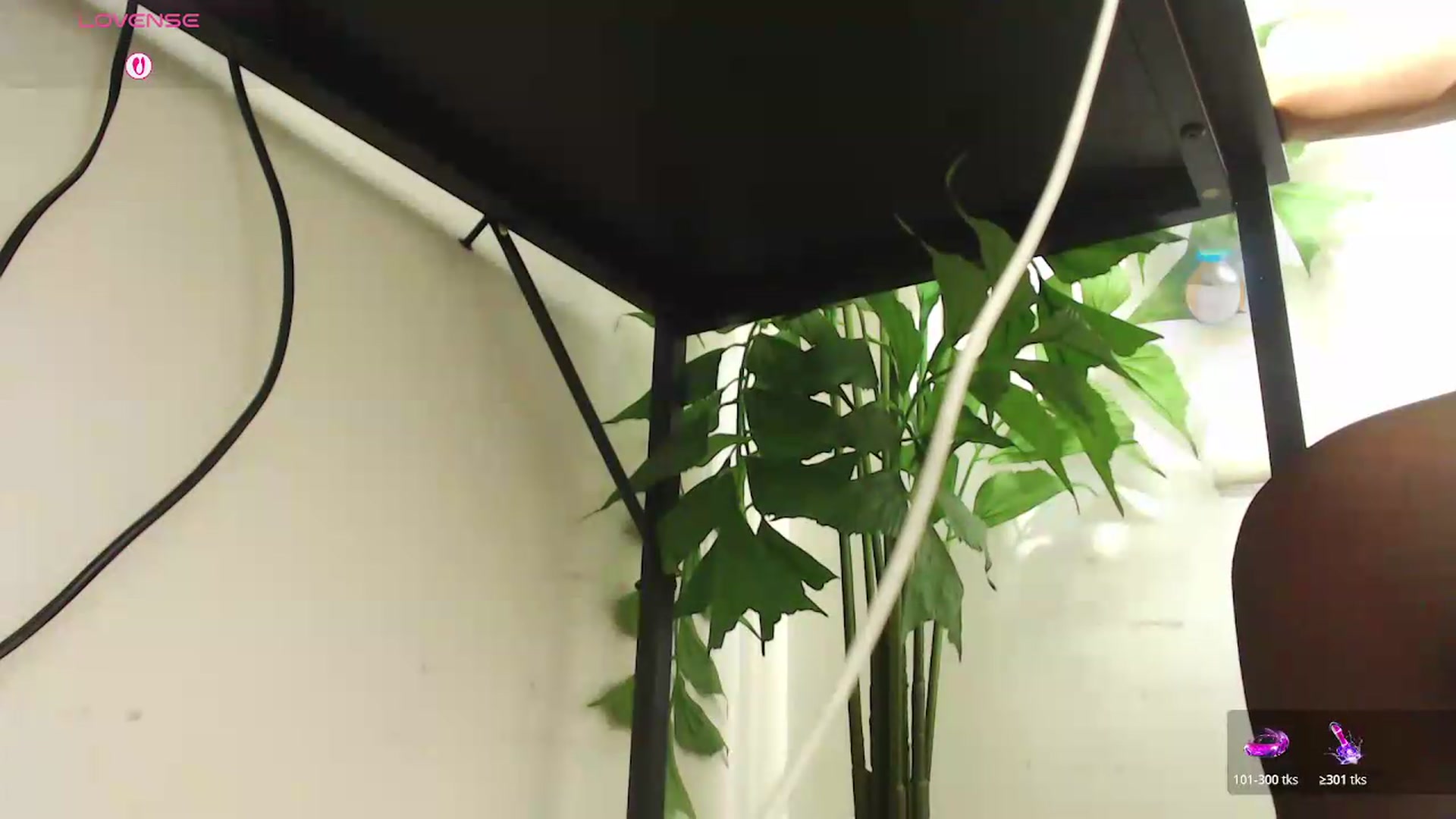 Gallery image thumbnail from office_secret's myfreecams stream on, 08/20/2026, 19:40 image 12 of 20