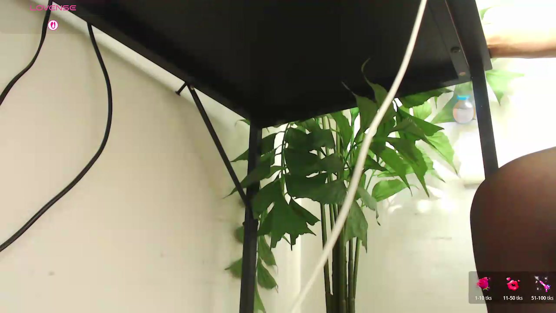 Gallery image thumbnail from office_secret's myfreecams stream on, 08/20/2026, 19:40 image 5 of 20