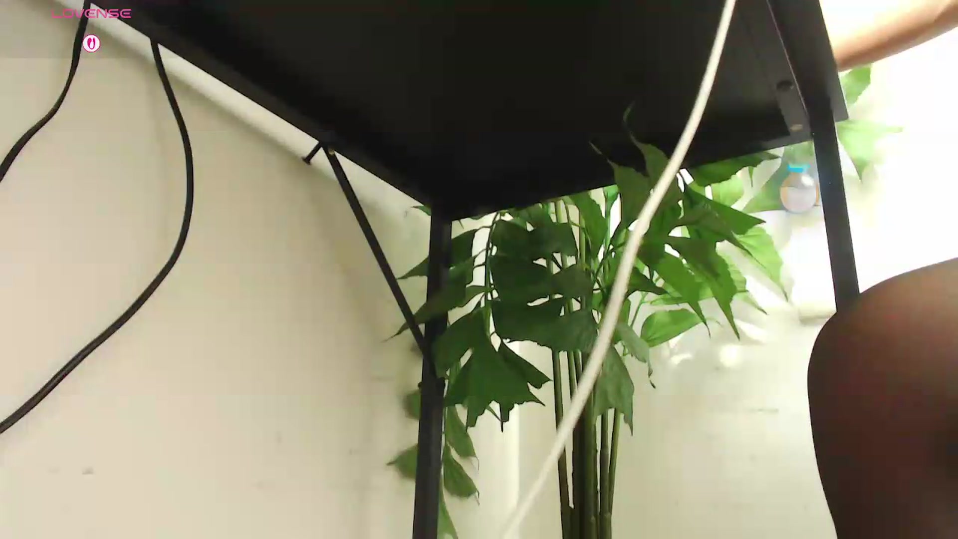 Gallery image thumbnail from office_secret's myfreecams stream on, 08/20/2026, 19:40 image 16 of 20