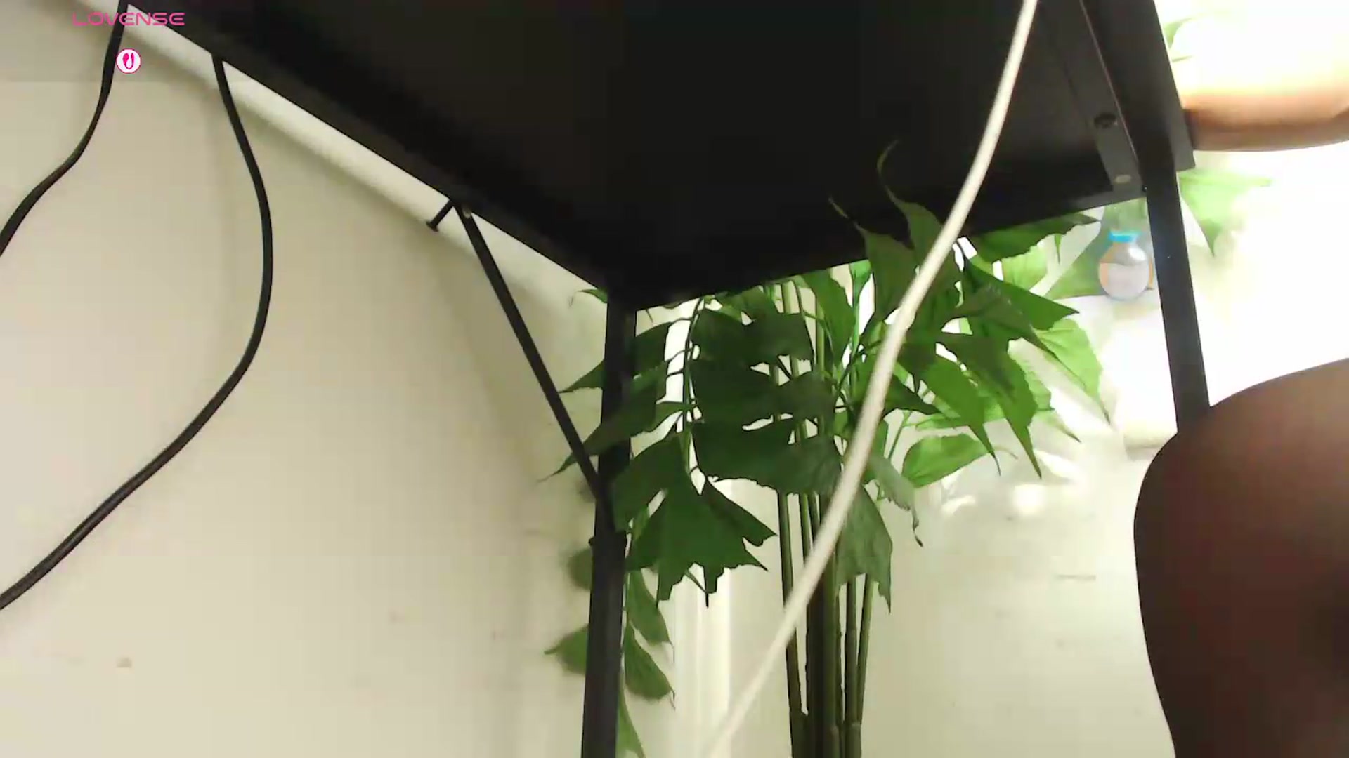 Gallery image thumbnail from office_secret's myfreecams stream on, 08/20/2026, 19:40 image 13 of 20