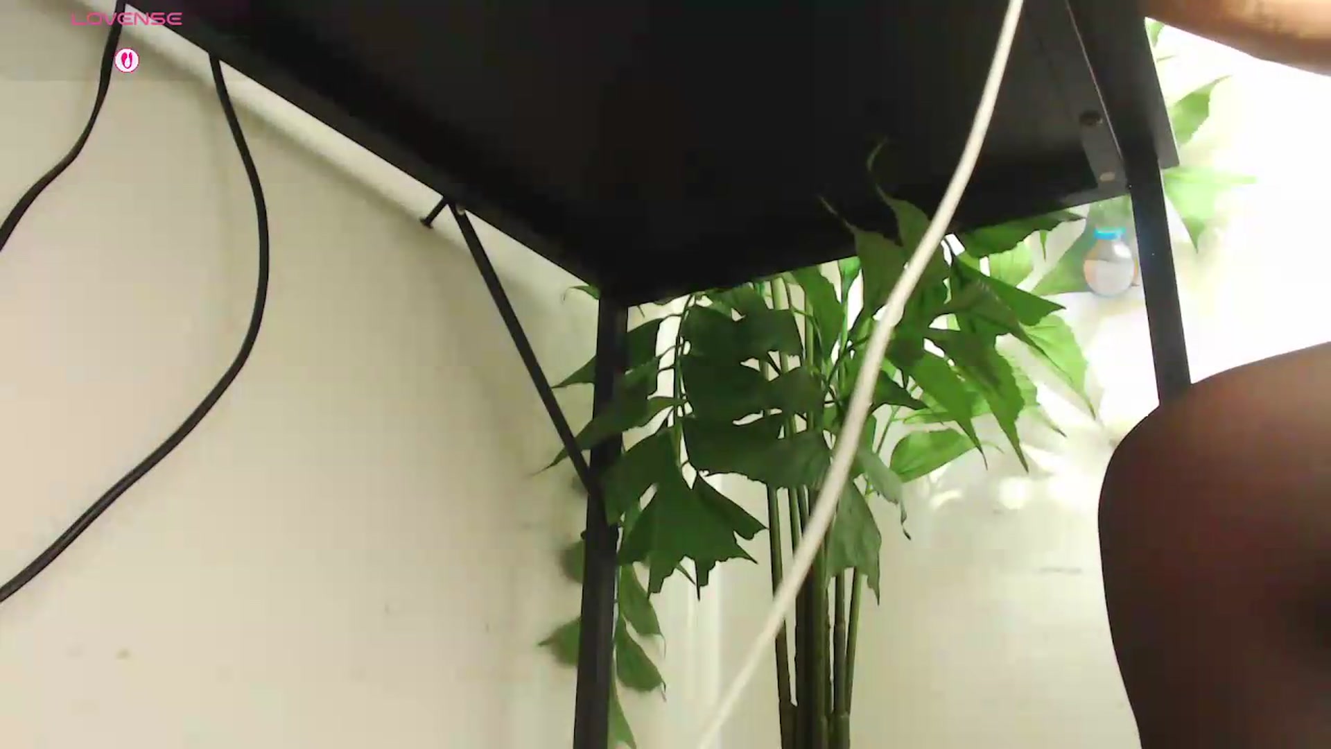 Gallery image thumbnail from office_secret's myfreecams stream on, 08/20/2026, 19:40 image 3 of 20