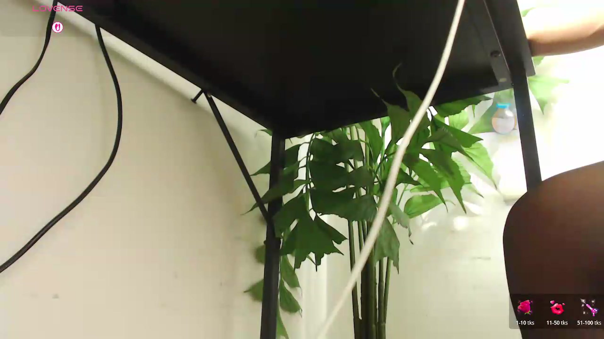 Gallery image thumbnail from office_secret's myfreecams stream on, 08/20/2026, 19:40 image 15 of 20