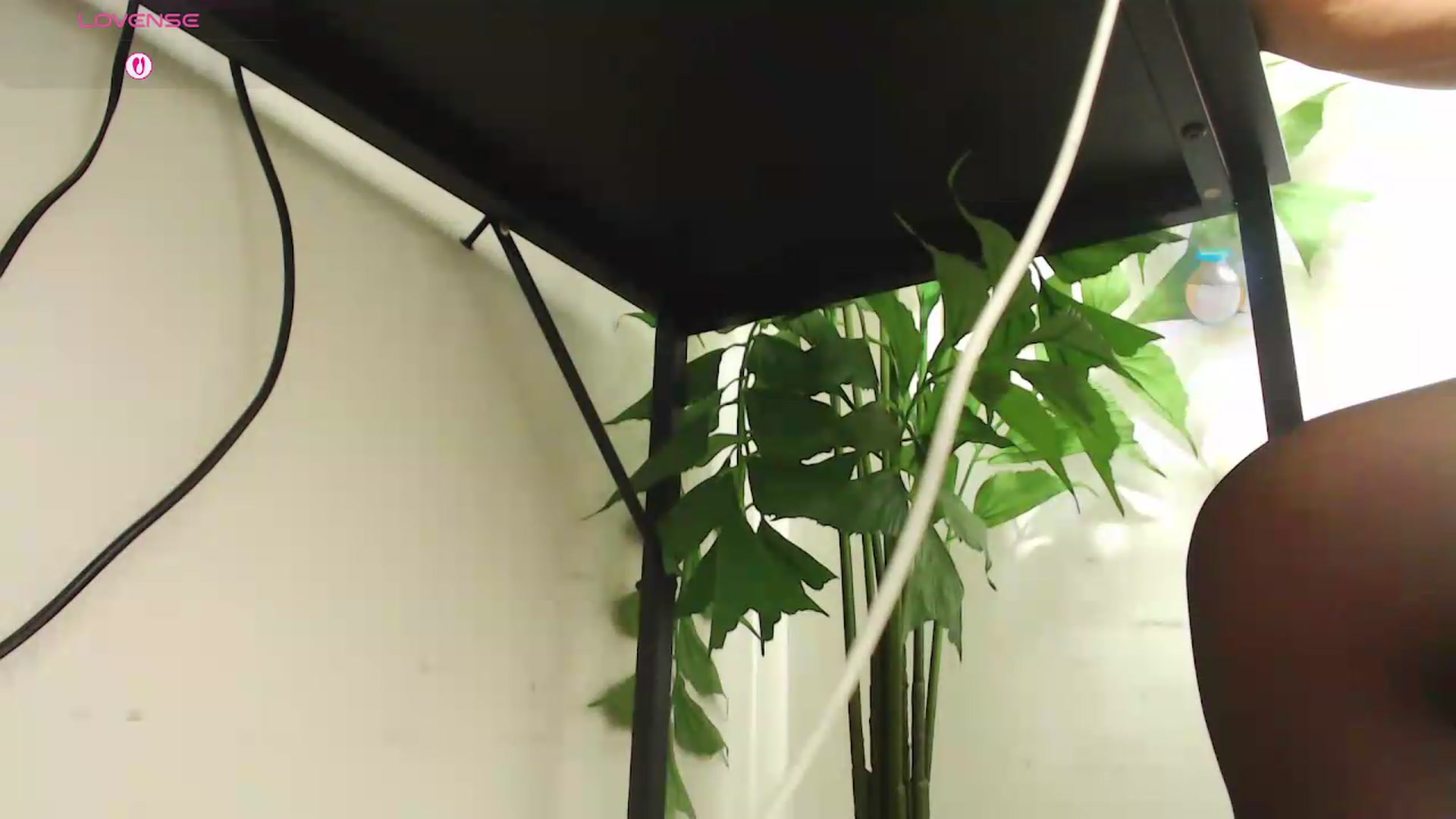 Gallery image thumbnail from office_secret's myfreecams stream on, 08/20/2026, 19:40 image 20 of 20