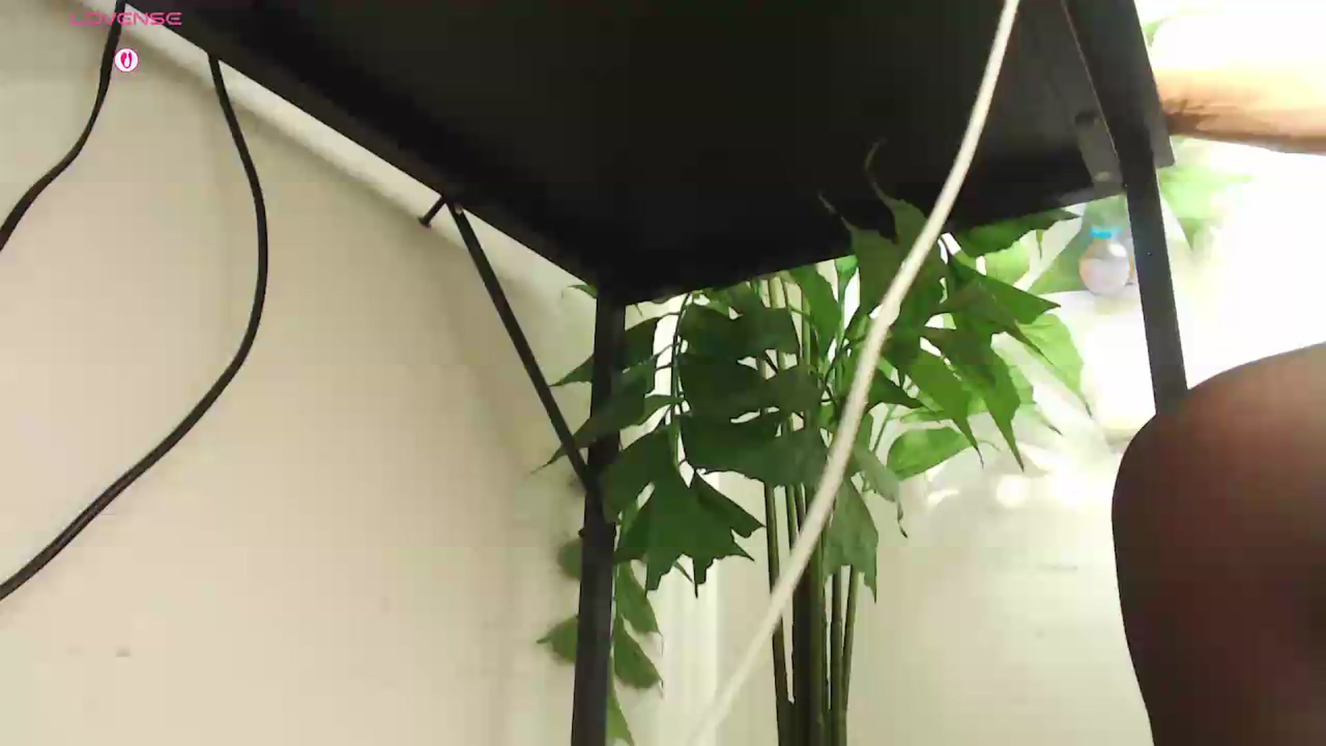 Gallery image thumbnail from office_secret's myfreecams stream on, 08/20/2026, 19:40 image 1 of 20