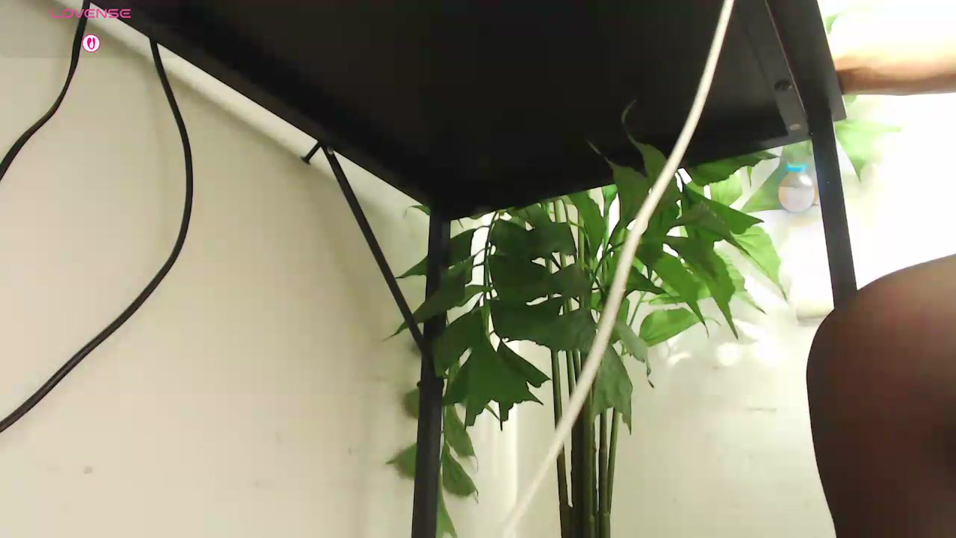 Gallery image thumbnail from office_secret's myfreecams stream on, 08/20/2026, 19:40 image 6 of 20