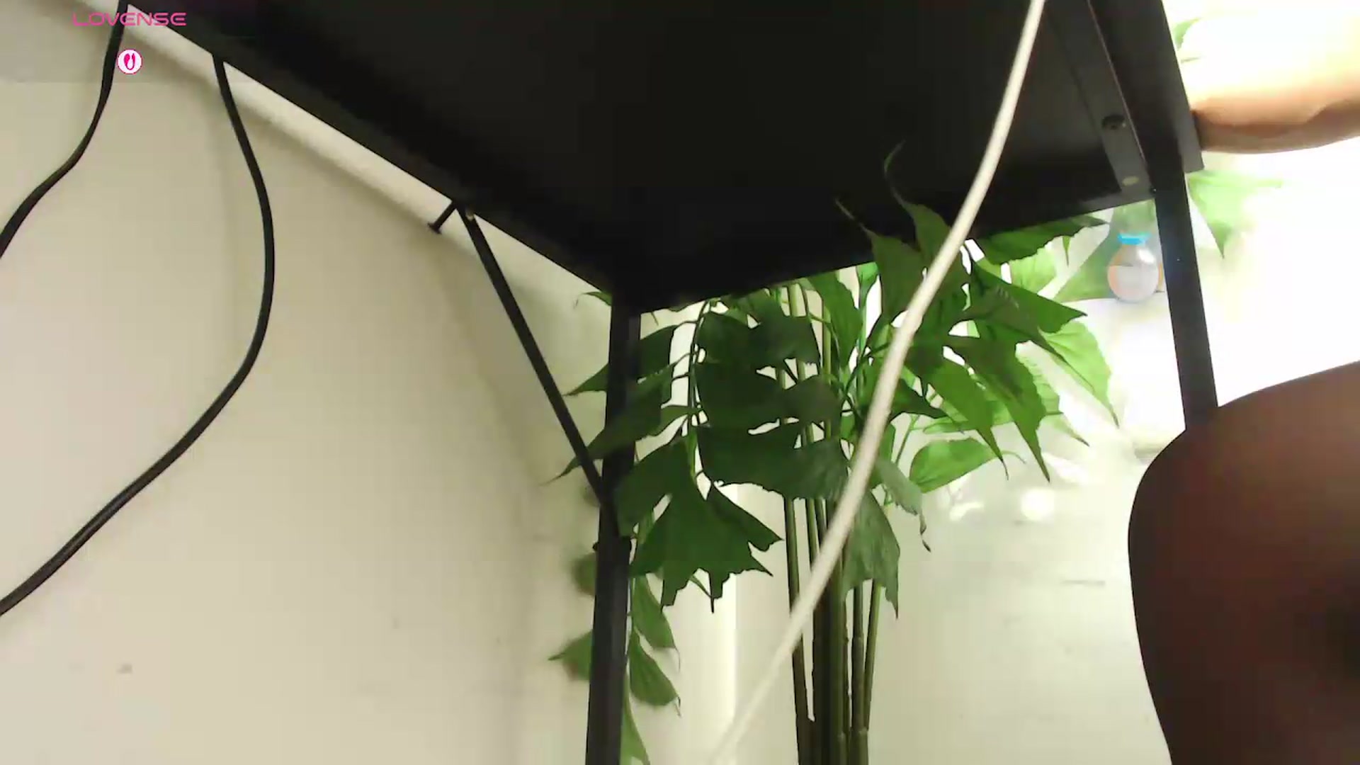 Gallery image thumbnail from office_secret's myfreecams stream on, 08/20/2026, 19:40 image 17 of 20