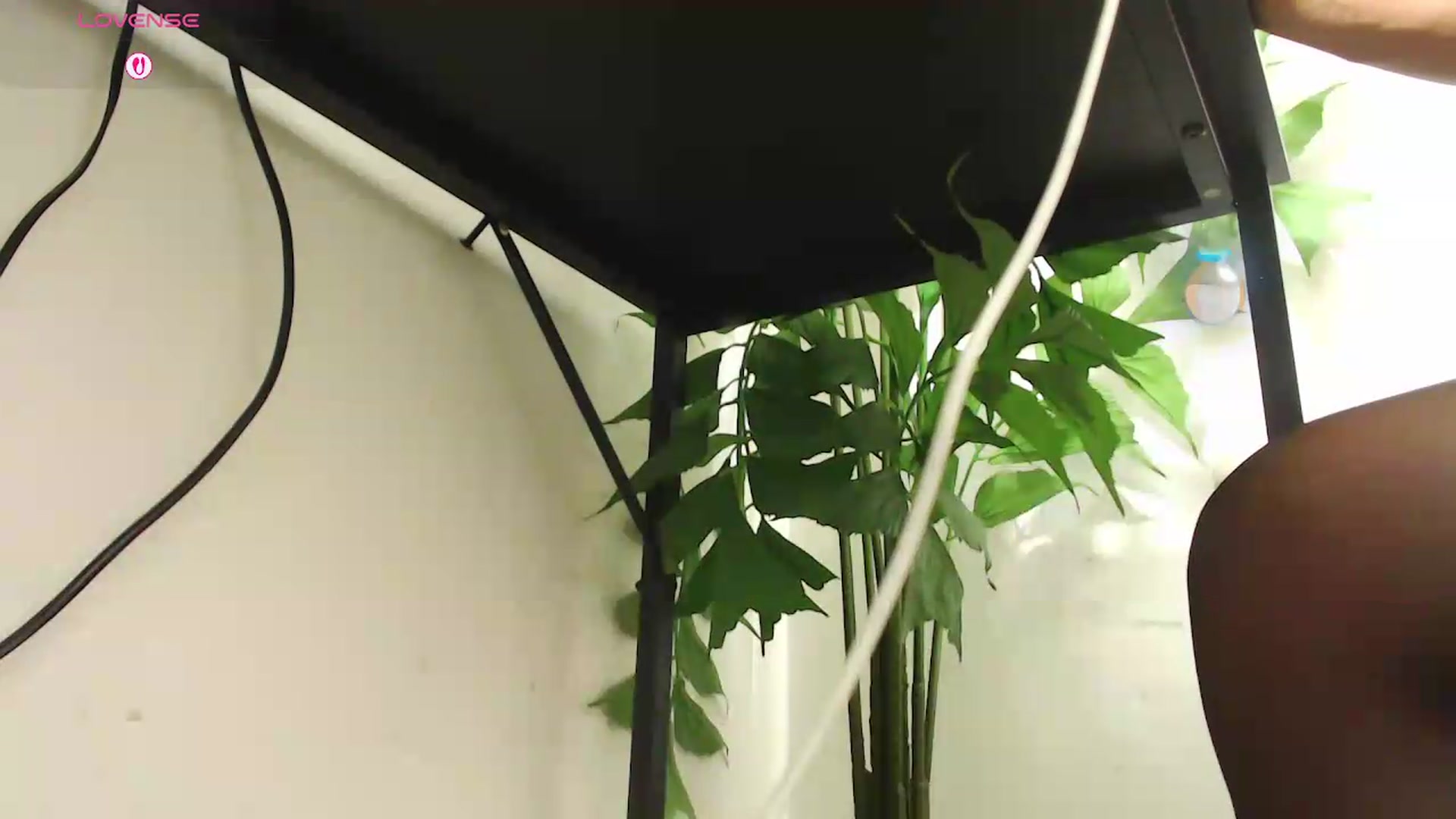 Gallery image thumbnail from office_secret's myfreecams stream on, 08/20/2026, 19:40 image 14 of 20