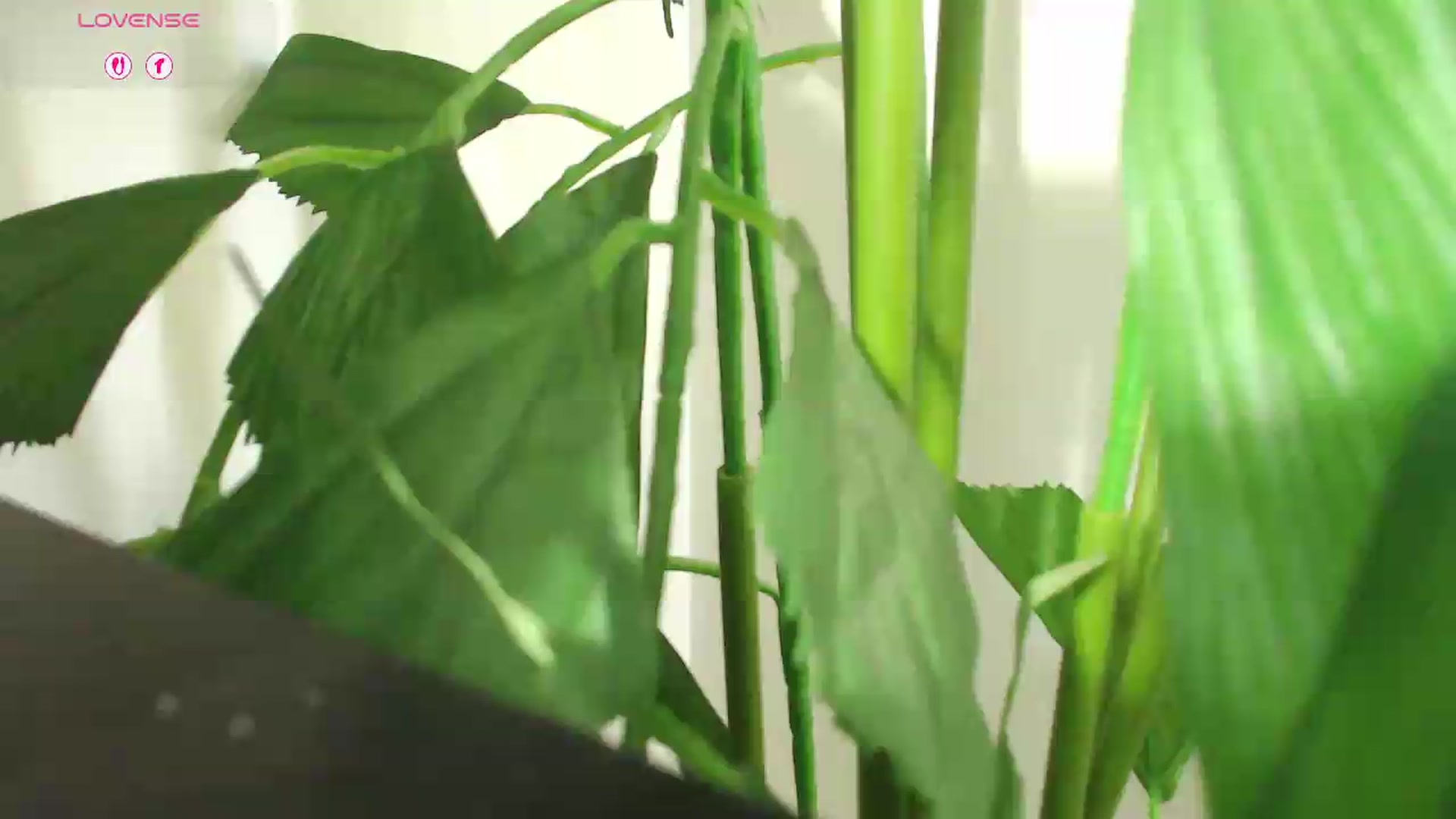 Gallery image thumbnail from office_secret's myfreecams stream on, 08/21/2026, 20:06 image 1 of 20