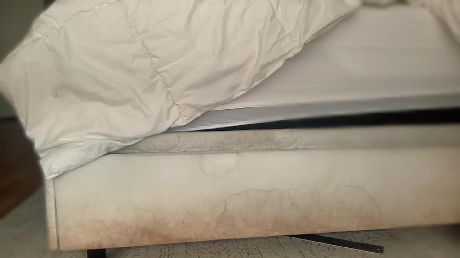 Gallery image thumbnail from olivia_virgo's myfreecams stream on, 12/18/2022, 19:04 image 13 of 20