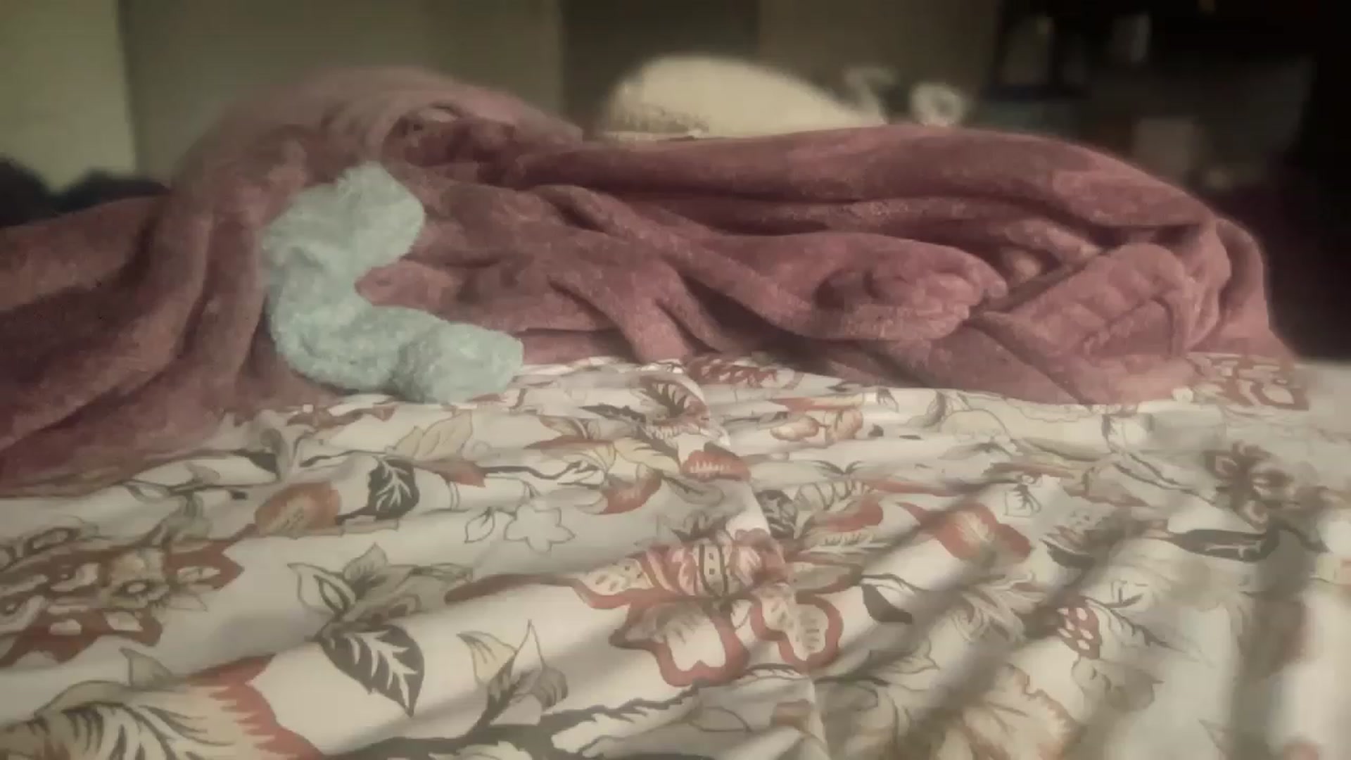 Gallery image thumbnail from olivia_virgo's myfreecams stream on, 02/18/2023, 17:53 image 20 of 20