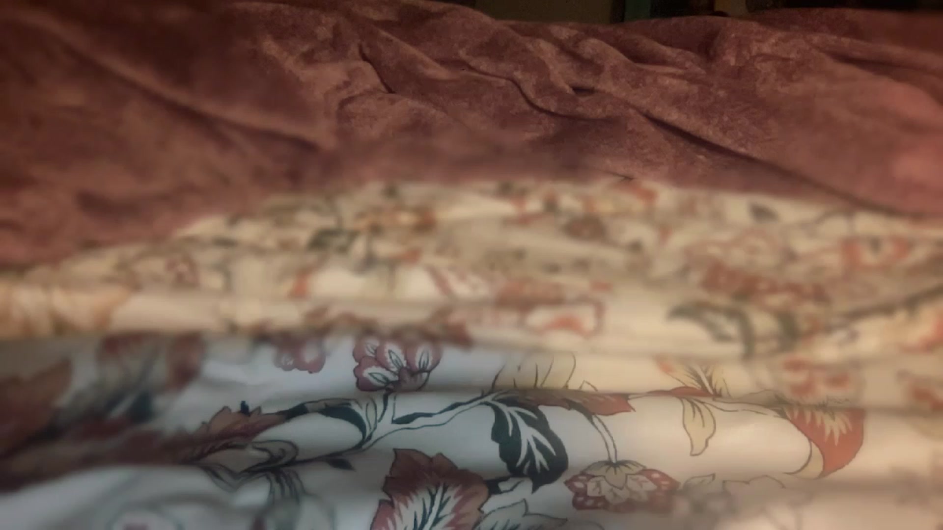 Gallery image thumbnail from olivia_virgo's myfreecams stream on, 02/20/2023, 13:44 image 19 of 20