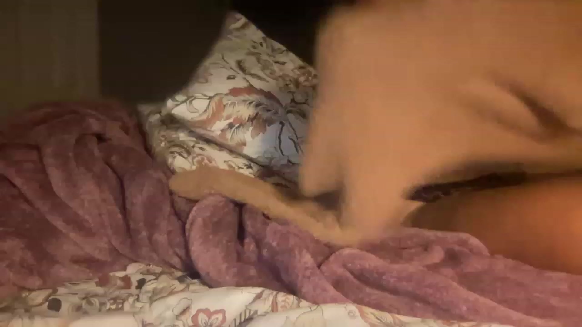 Gallery image thumbnail from olivia_virgo's myfreecams stream on, 02/20/2023, 15:50 image 2 of 20