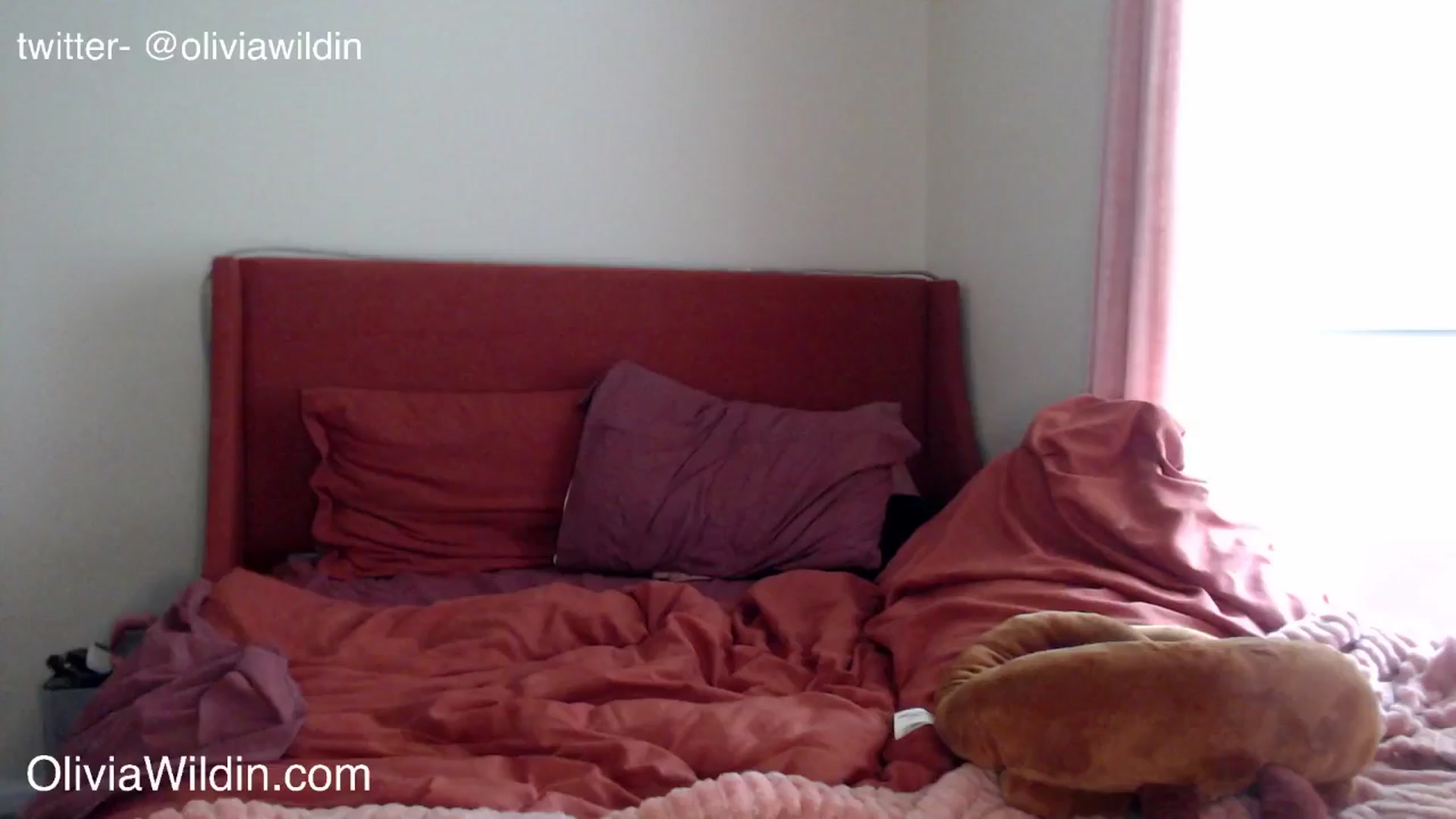 Gallery image thumbnail from oliviawildin's myfreecams stream on, 09/18/2024, 22:45 image 1 of 20