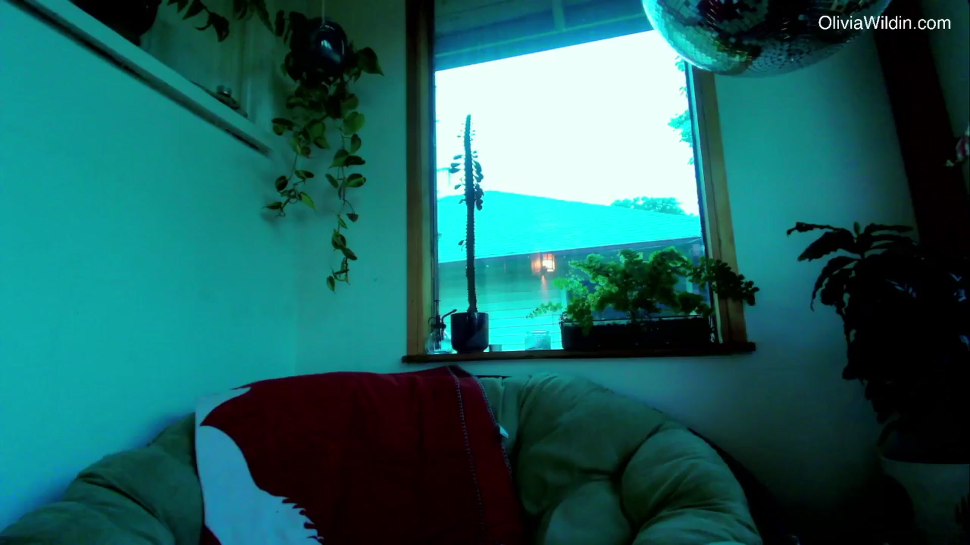 Gallery image thumbnail from oliviawildin's myfreecams stream on, 06/26/2025, 04:40 image 9 of 20