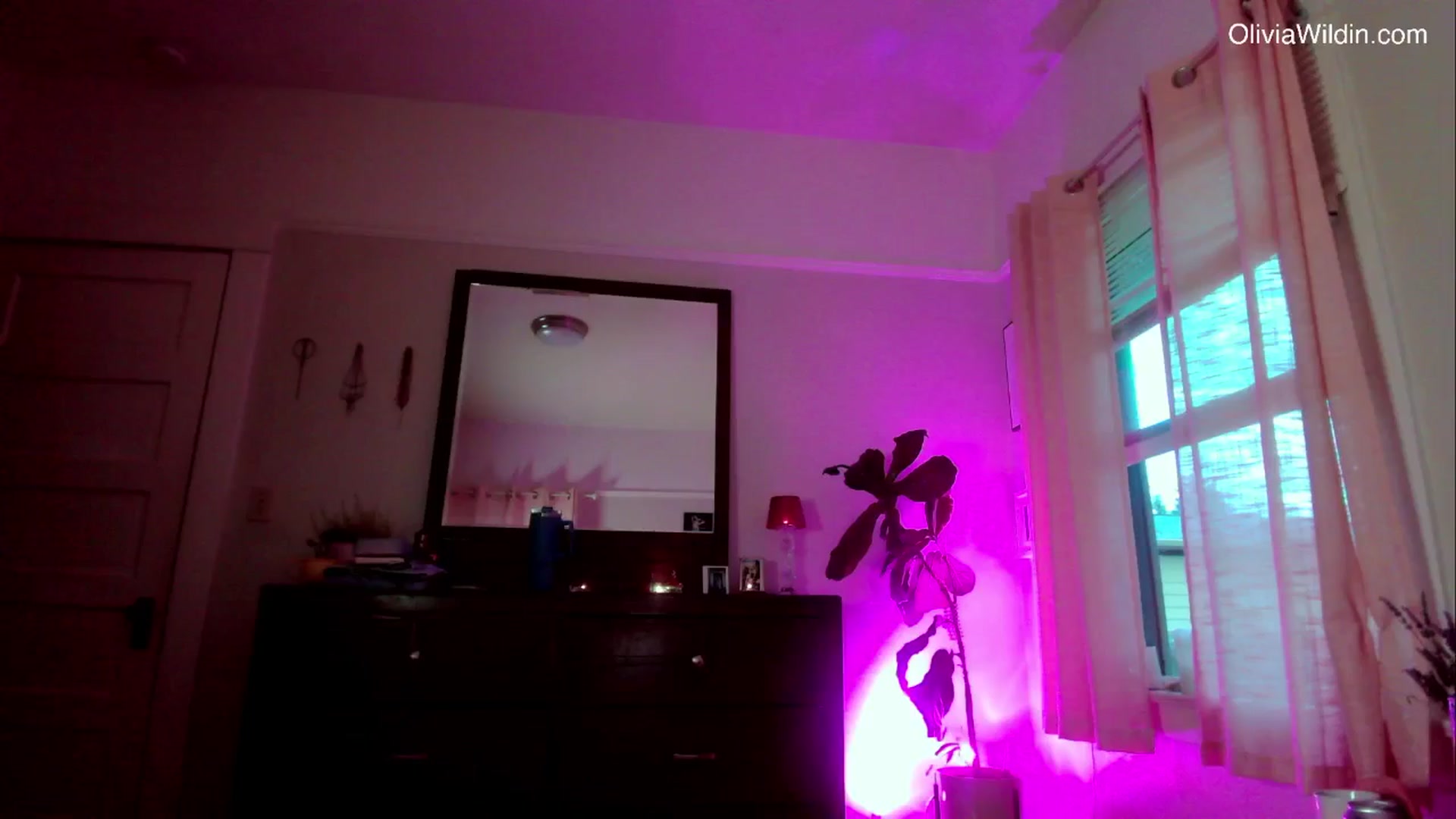 Gallery image thumbnail from oliviawildin's myfreecams stream on, 06/26/2025, 04:40 image 11 of 20