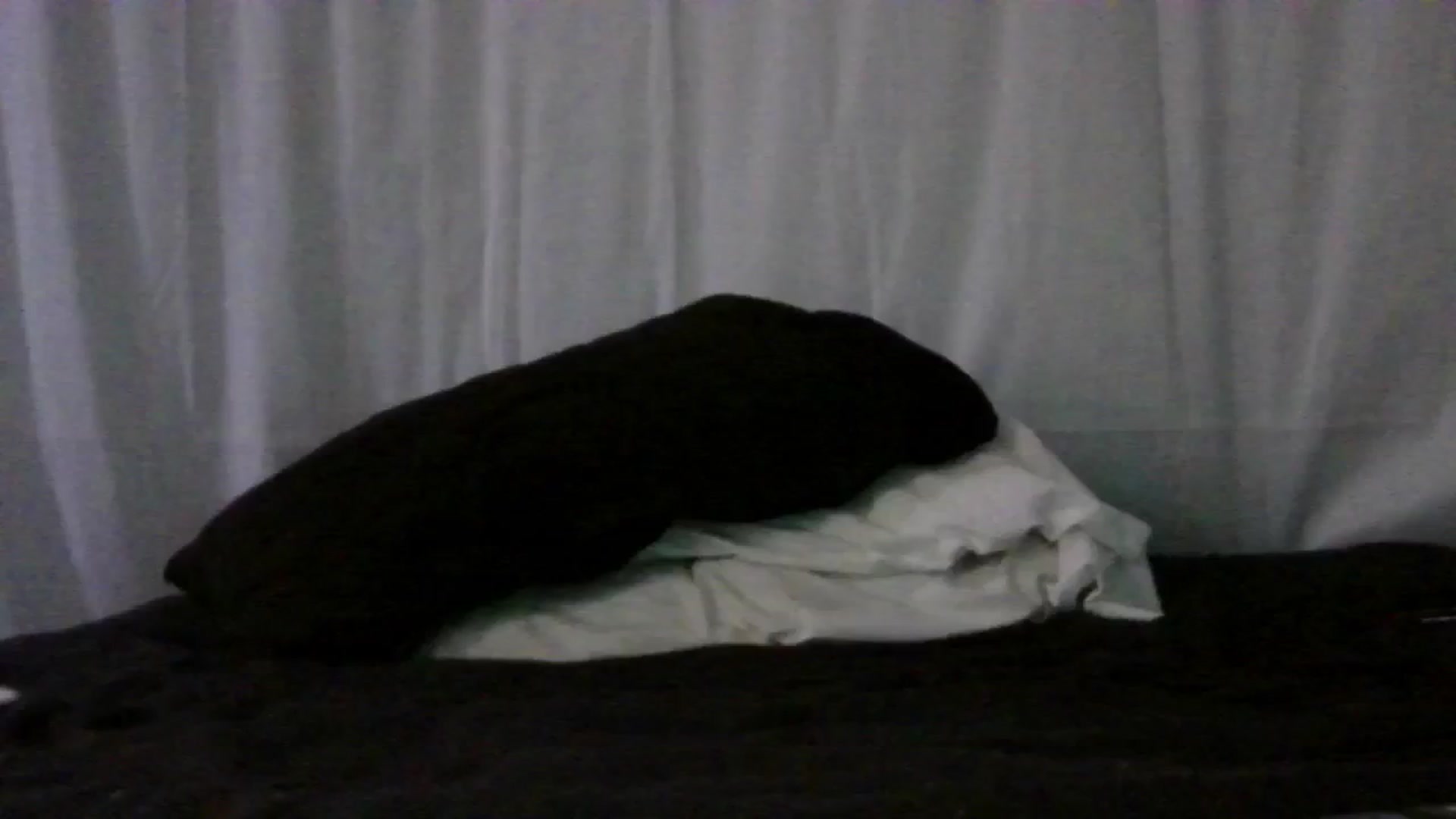 Gallery image thumbnail from oneinabillion's myfreecams stream on, 07/16/2024, 07:56 image 10 of 20