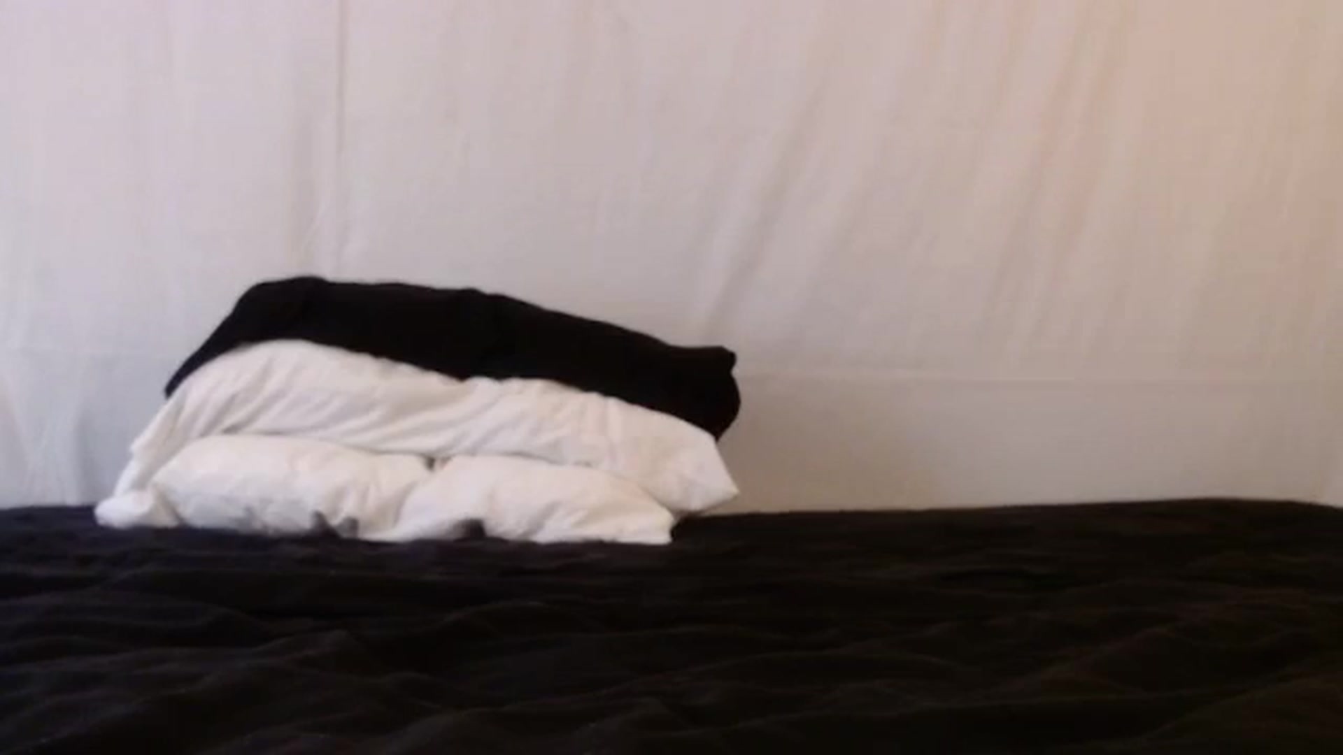 Gallery image thumbnail from oneinabillion's myfreecams stream on, 07/22/2024, 08:52 image 3 of 20