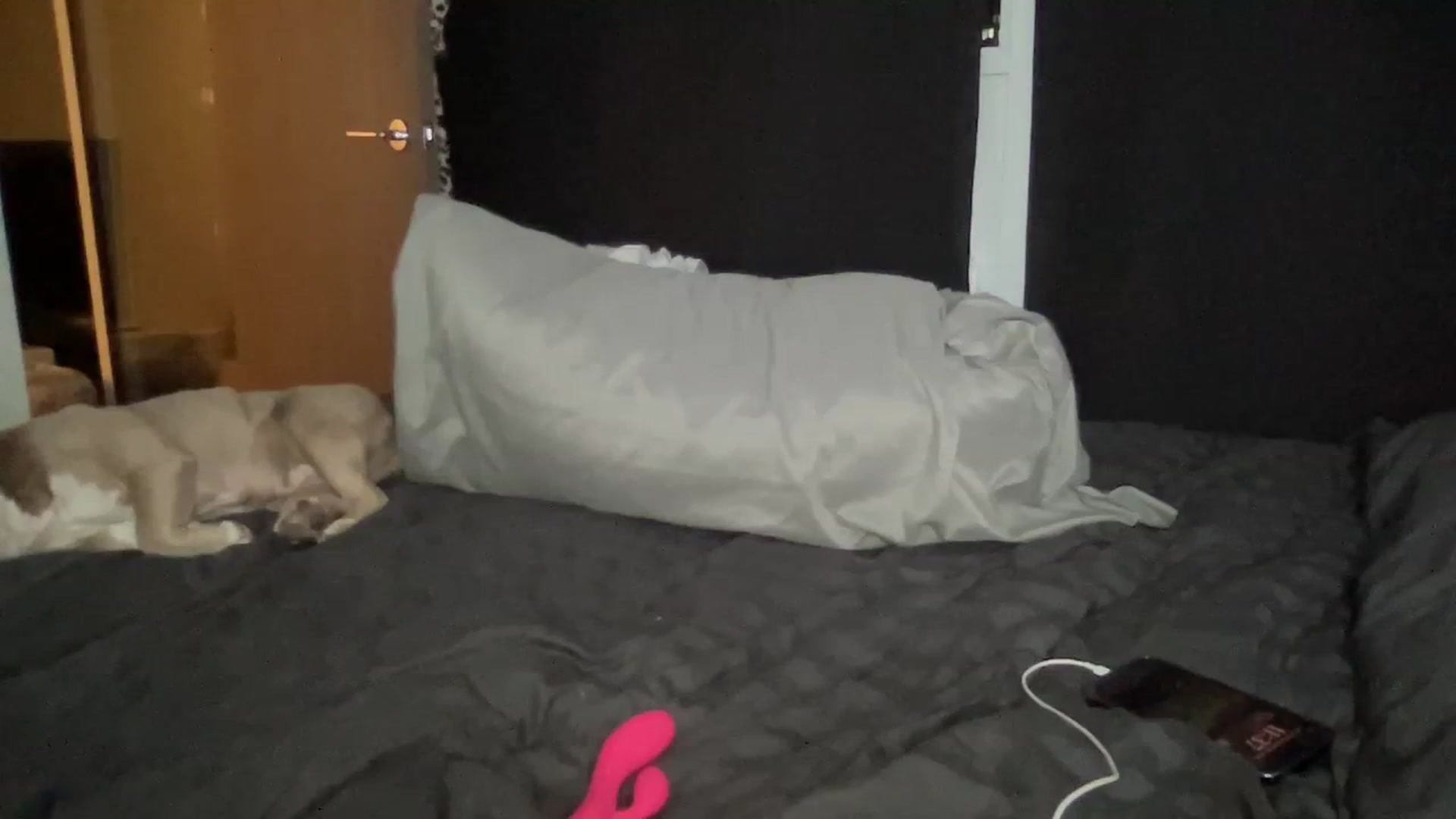 Gallery image thumbnail from oxKRYSTALxo's myfreecams stream on, 09/25/2023, 03:47 image 12 of 20