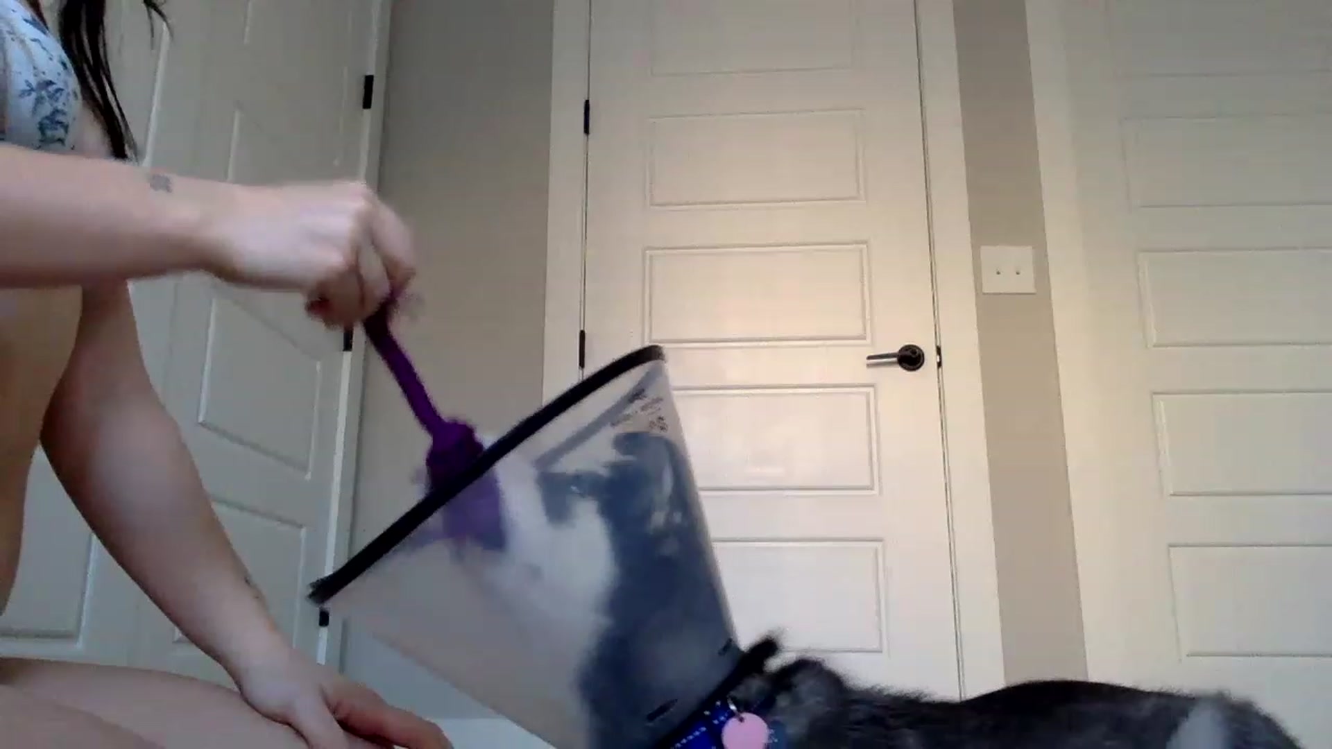 Gallery image thumbnail from p_alaska's myfreecams stream on, 02/28/2023, 13:19 image 8 of 20