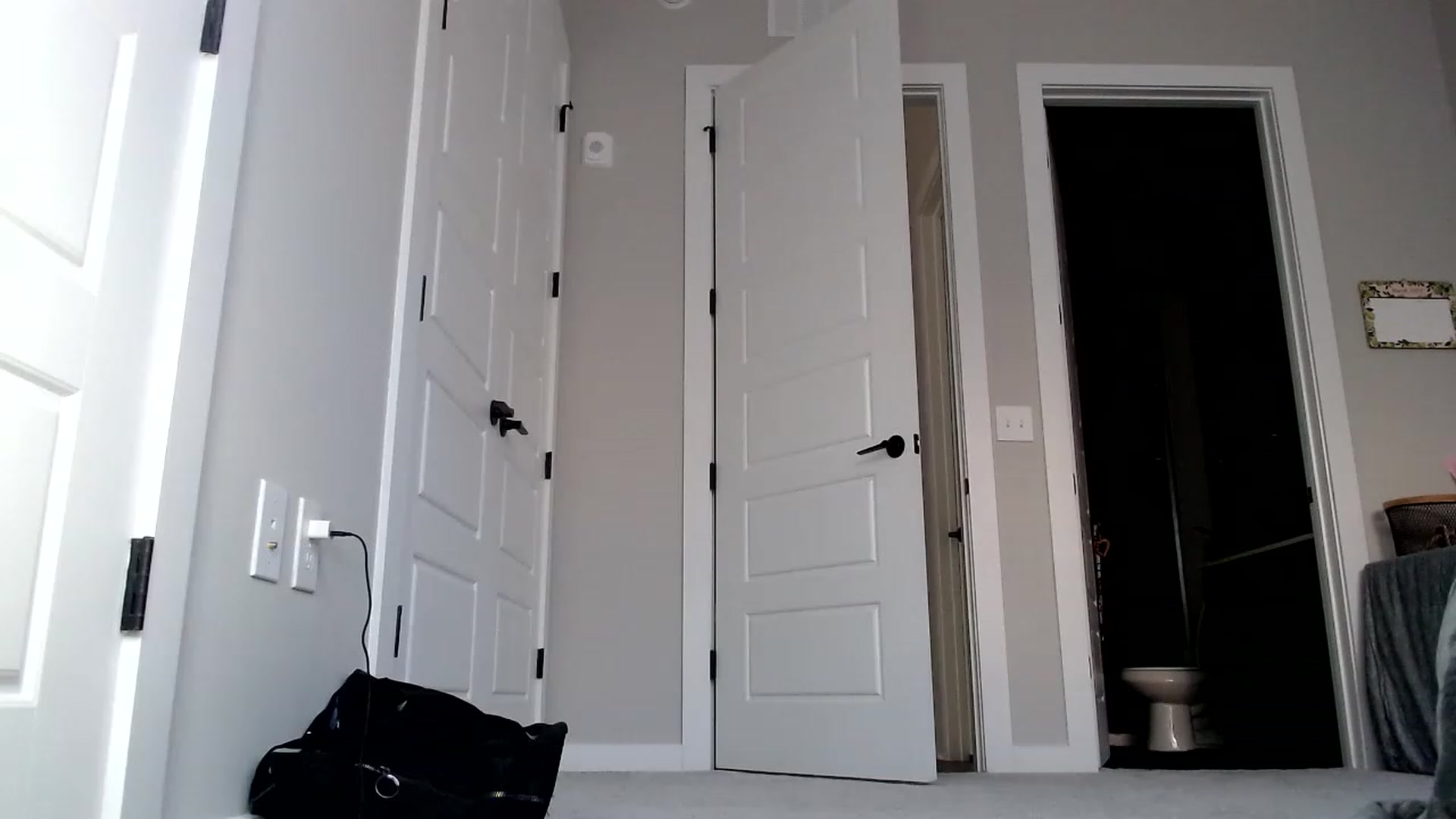 Gallery image thumbnail from p_alaska's myfreecams stream on, 03/21/2023, 14:17 image 7 of 20