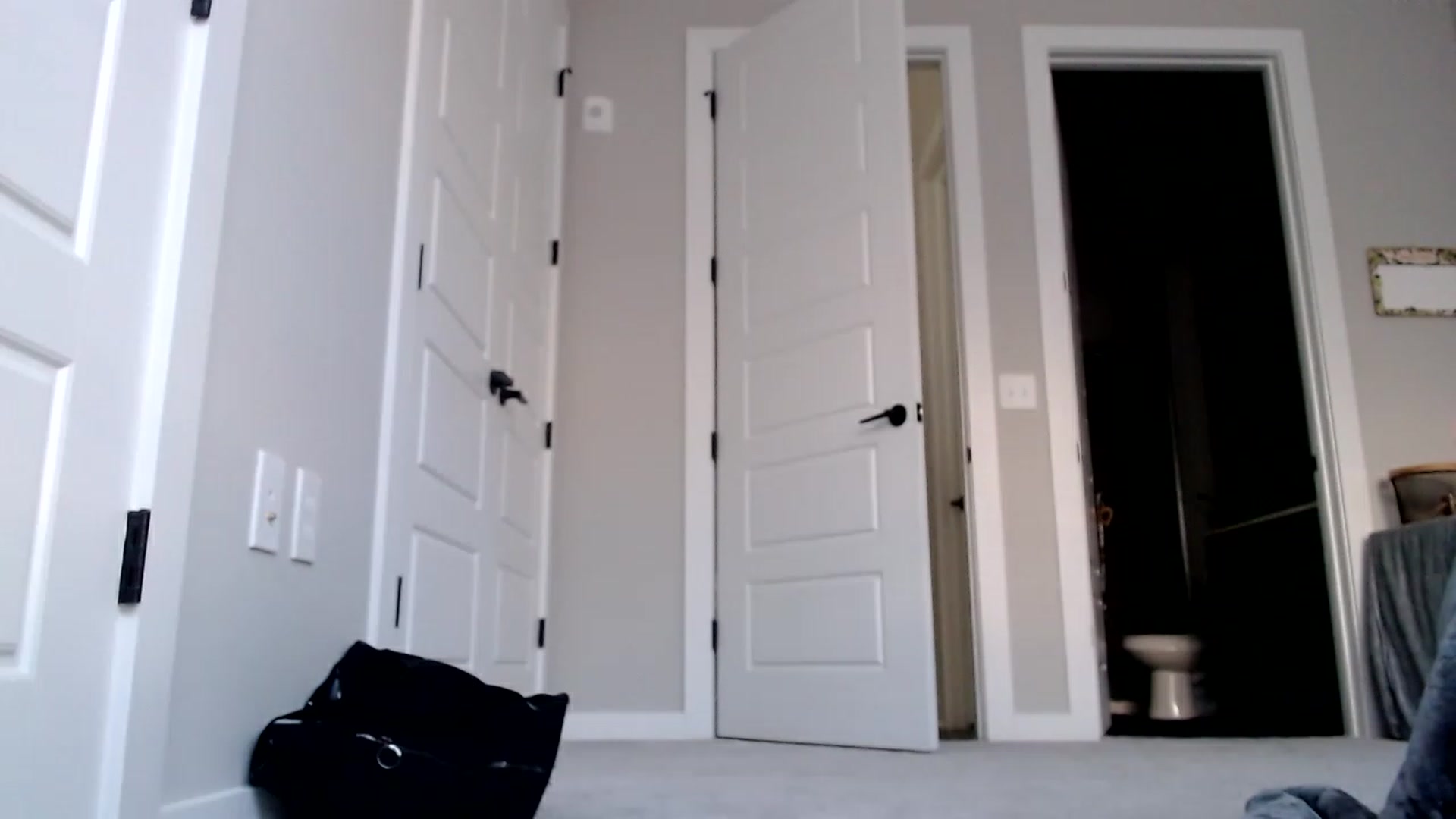 Gallery image thumbnail from p_alaska's myfreecams stream on, 03/21/2023, 14:17 image 5 of 20