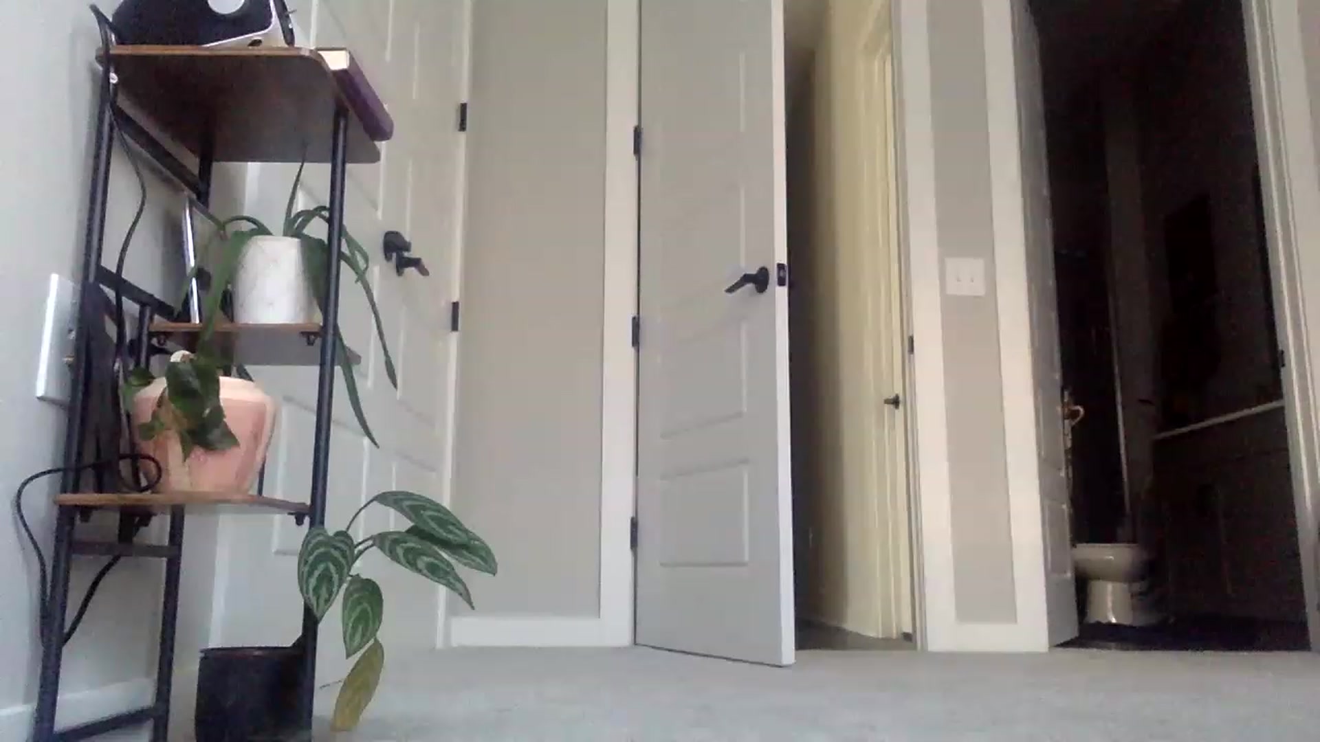 Gallery image thumbnail from p_alaska's myfreecams stream on, 03/30/2023, 13:25 image 10 of 20