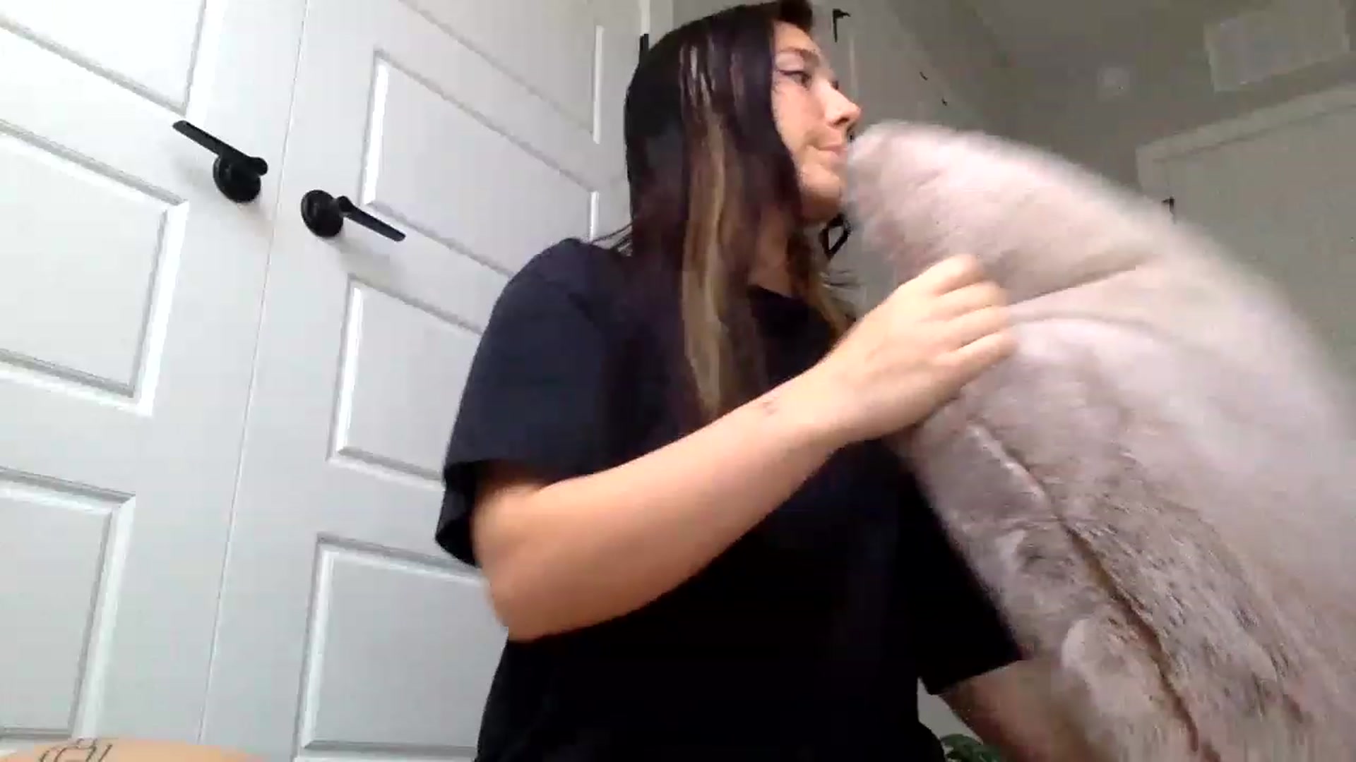 Gallery image thumbnail from p_alaska's myfreecams stream on, 06/01/2023, 13:33 image 19 of 20