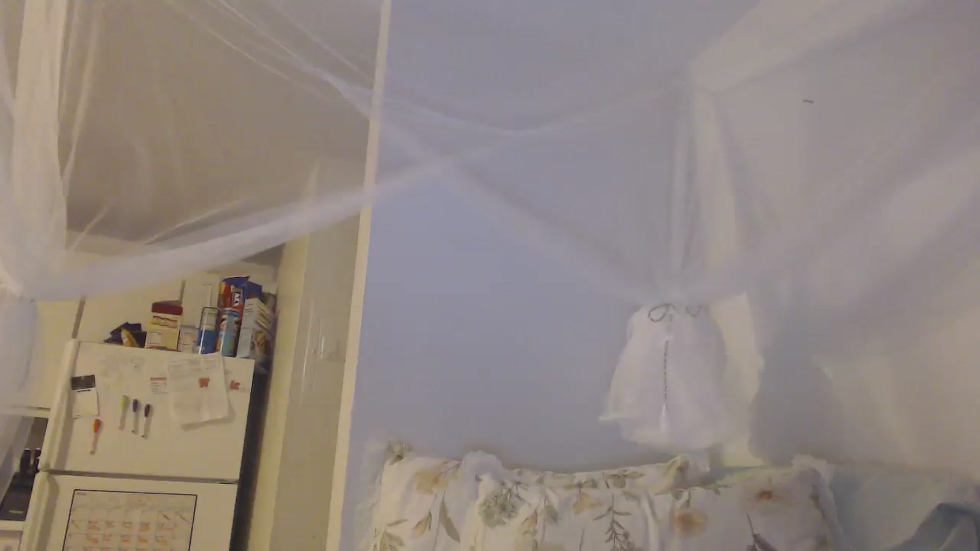 Gallery image thumbnail from paloma_grey's myfreecams stream on, 09/19/2023, 10:41 image 6 of 20