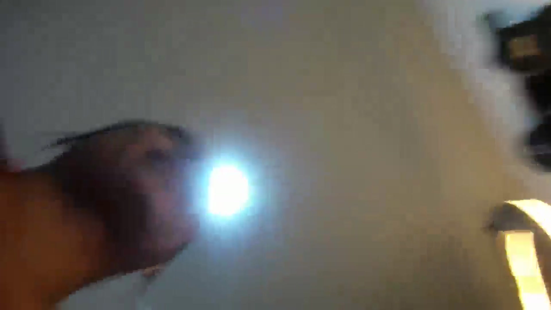 Gallery image thumbnail from pamela_suarez's myfreecams stream on, 02/18/2025, 07:39 image 4 of 20