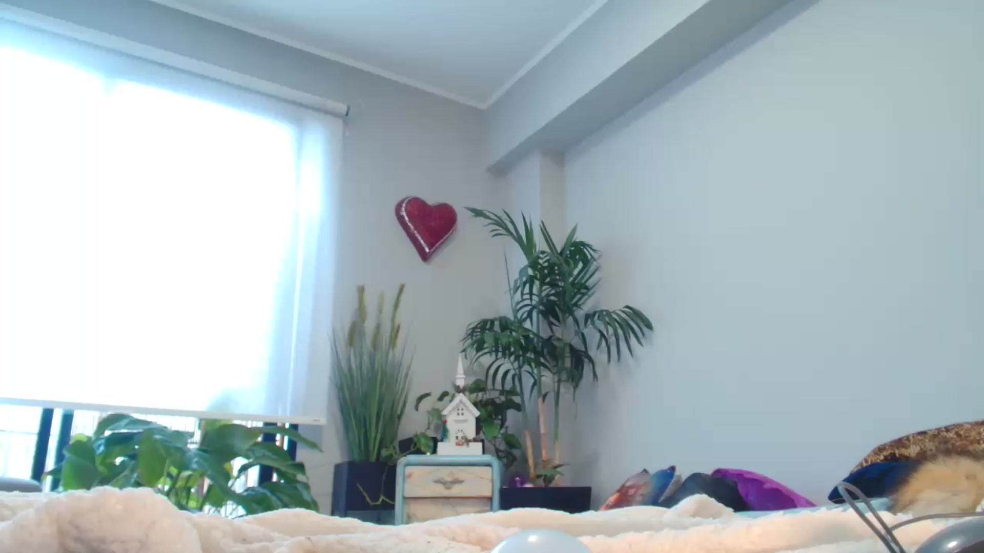 Gallery image thumbnail from panther_queen's myfreecams stream on, 12/24/2022, 22:43 image 10 of 20