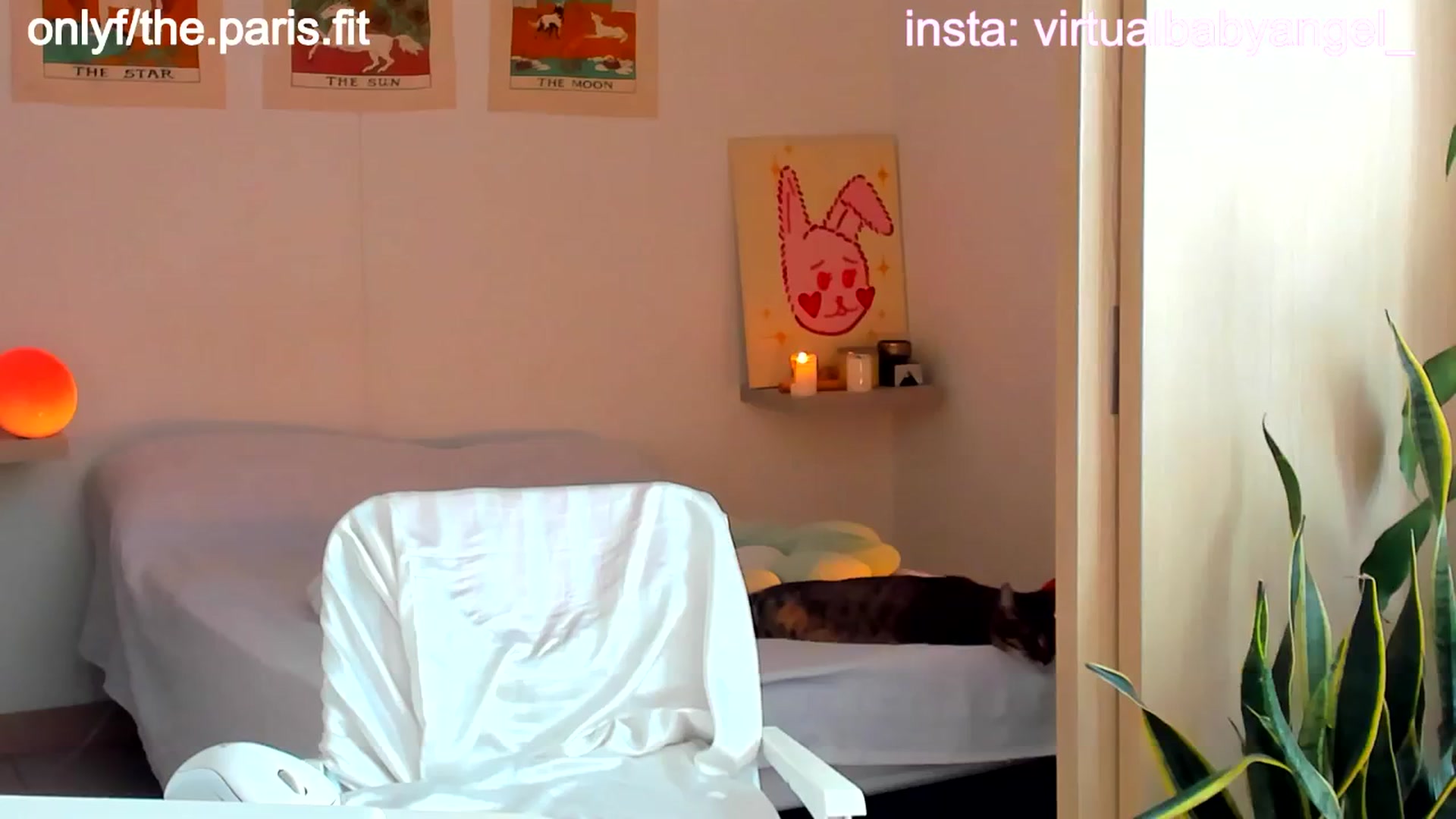 Gallery image thumbnail from paris_texas's myfreecams stream on, 08/22/2024, 20:21 image 17 of 20