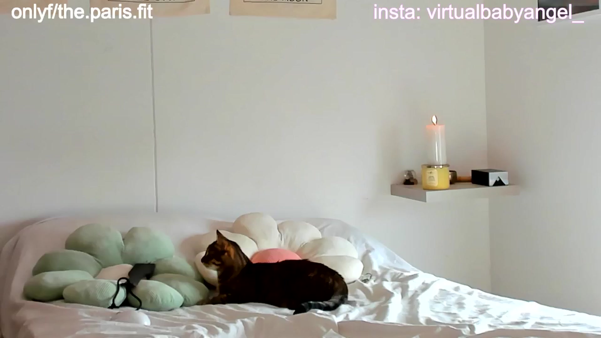 Gallery image thumbnail from paris_texas's myfreecams stream on, 10/31/2024, 15:41 image 7 of 20