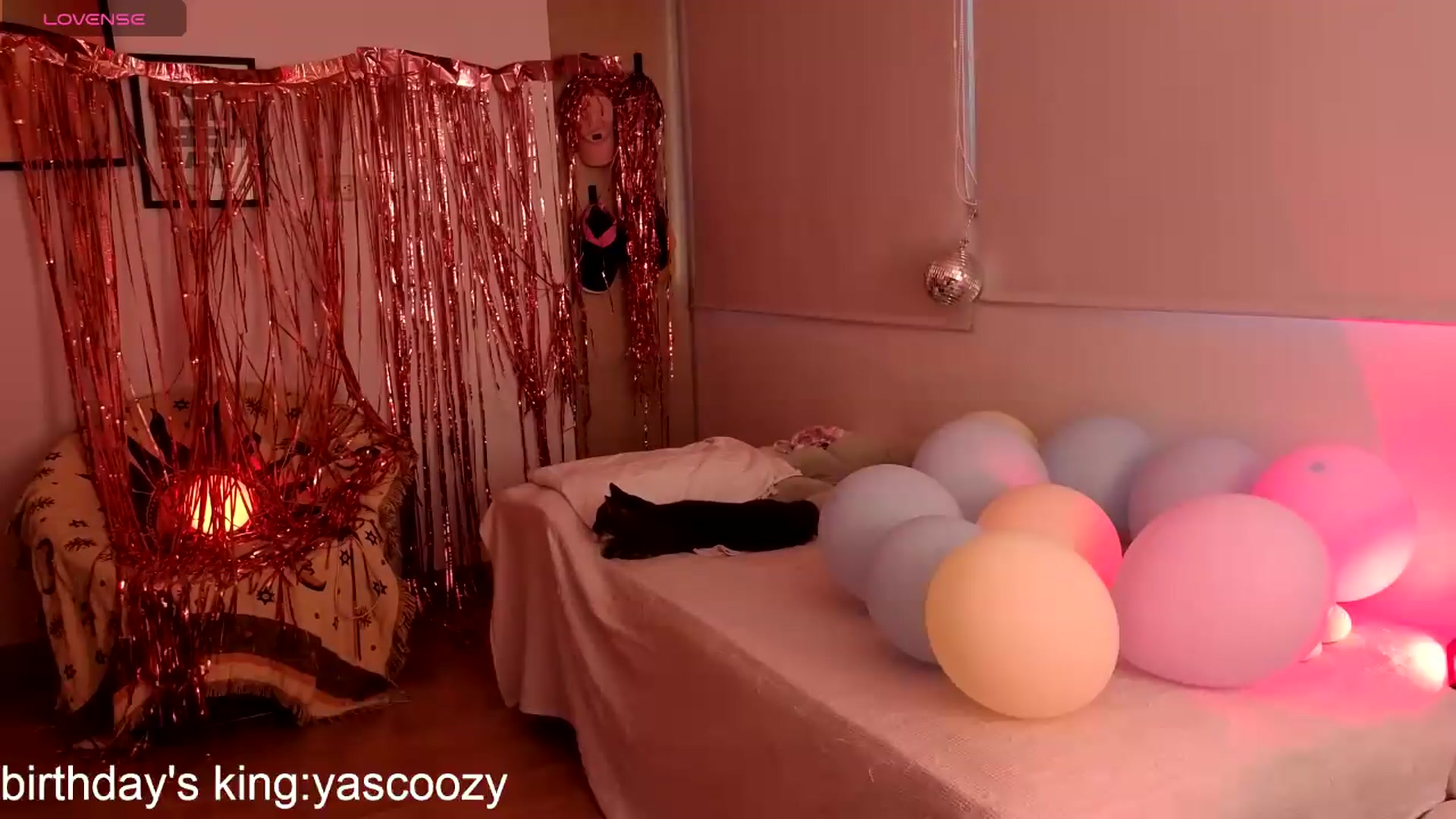 Gallery image thumbnail from paris_texas's myfreecams stream on, 07/21/2026, 23:11 image 18 of 20