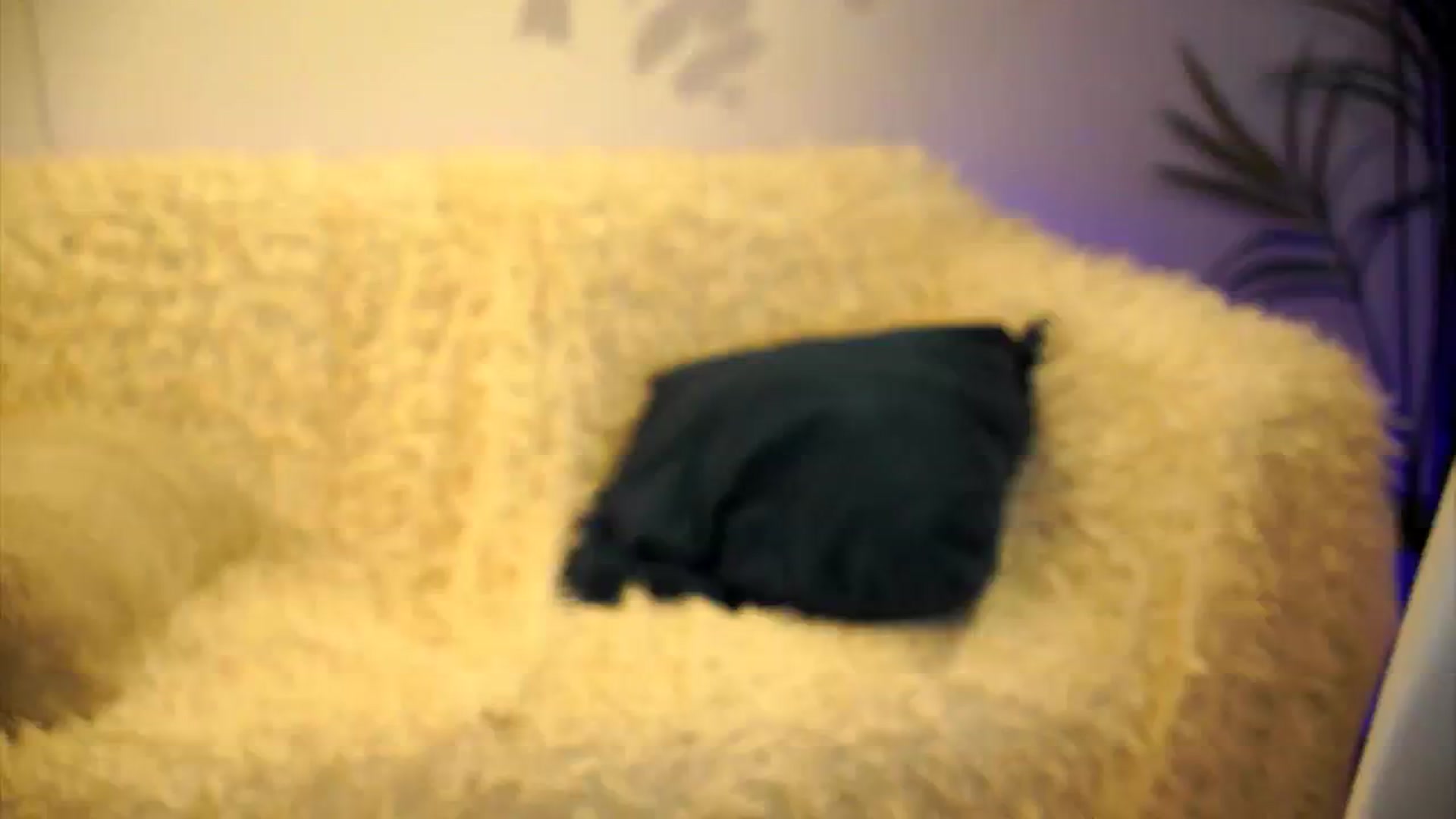 Gallery image thumbnail from petitegonwild's myfreecams stream on, 04/04/2025, 19:07 image 3 of 20
